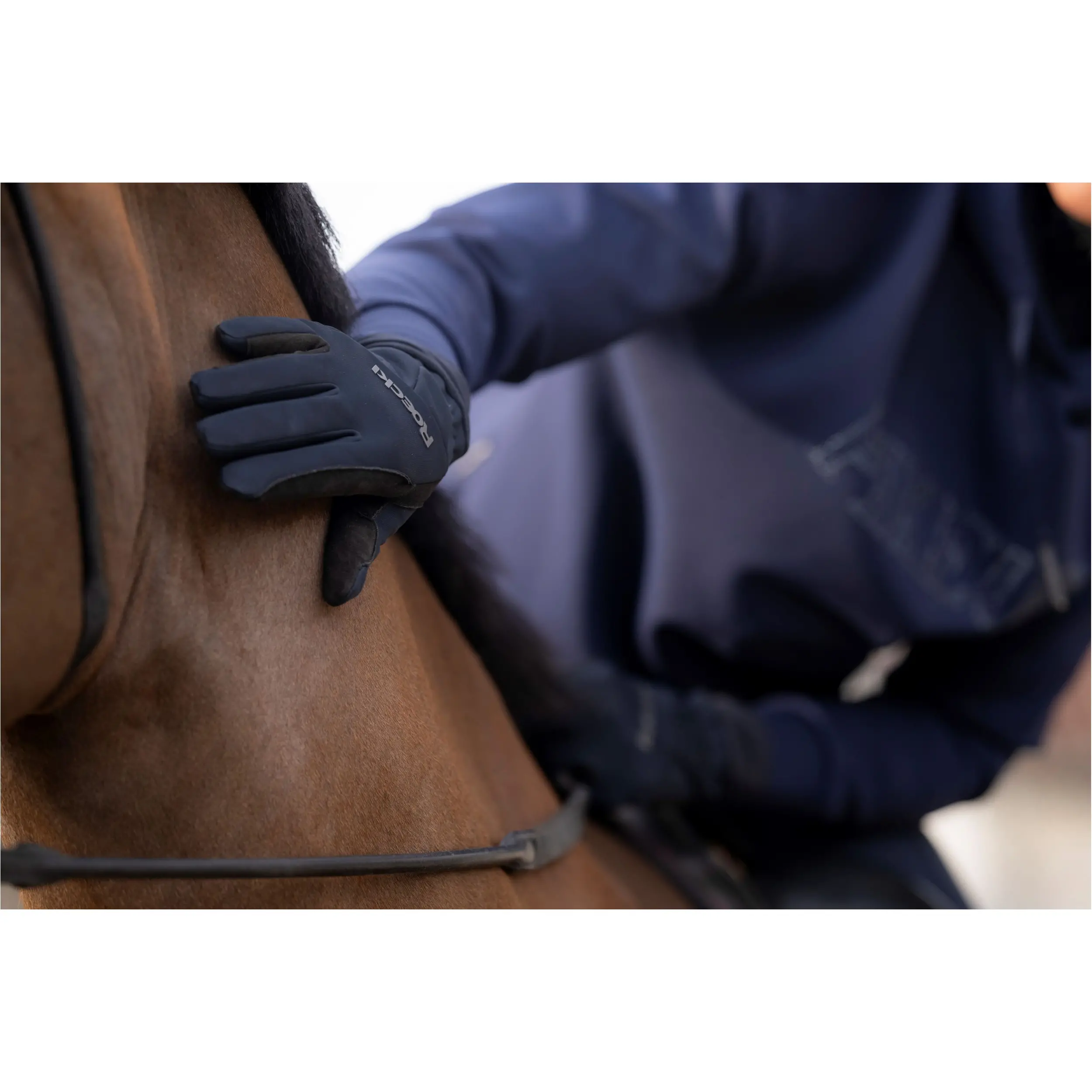Winter Reithandschuhe WILBER schwarz