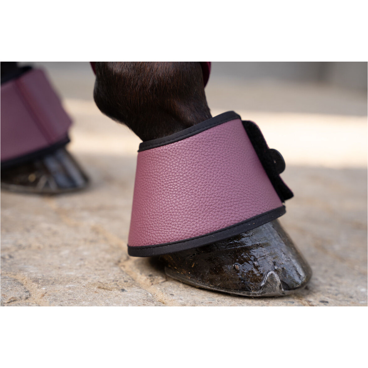 Hufglocken COMFORT PREMIUM bordeaux