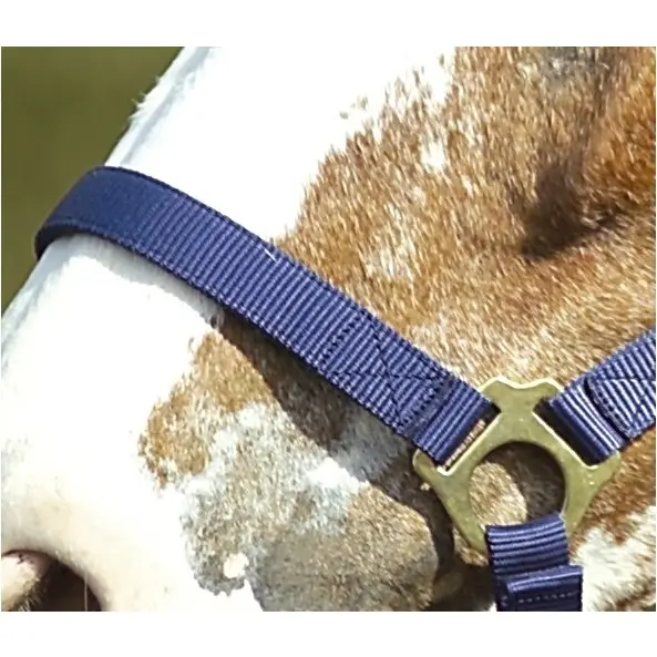 Nylonhalfter doppelt gelegt mit Schnallen marineblau