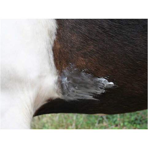 Insektenschutzbalsam natürlich NATJELY 300ml