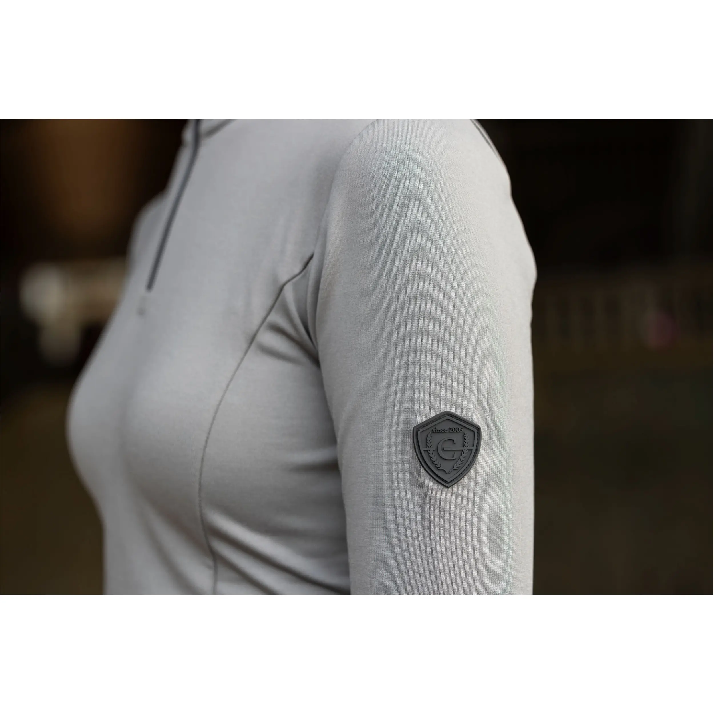 Damen Funktionsshirt ACTIVE H/W 2025 steel grey