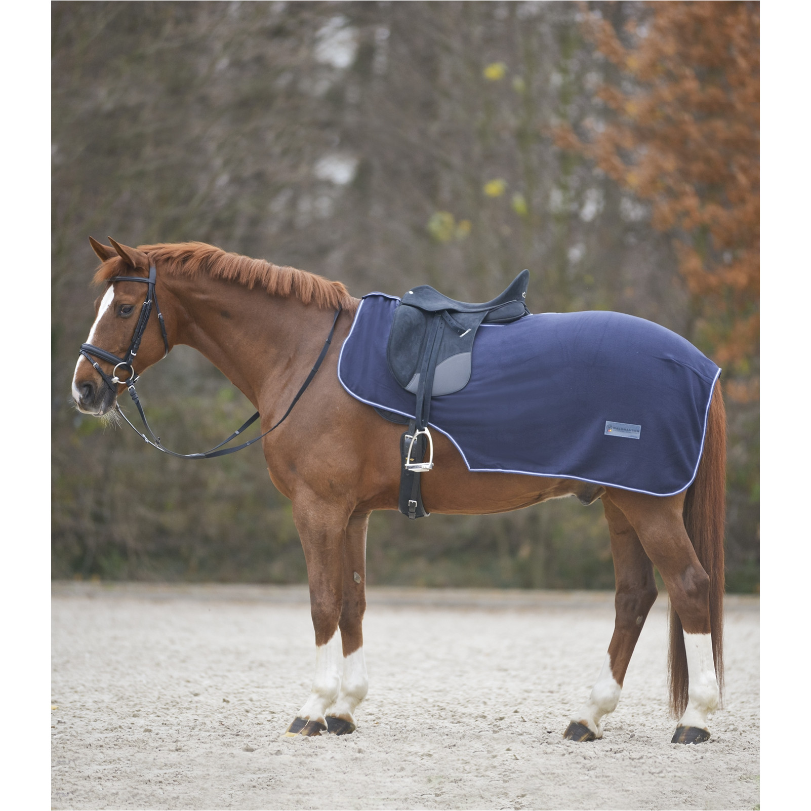 Fleece-Ausreitdecke ECONOMIC marine