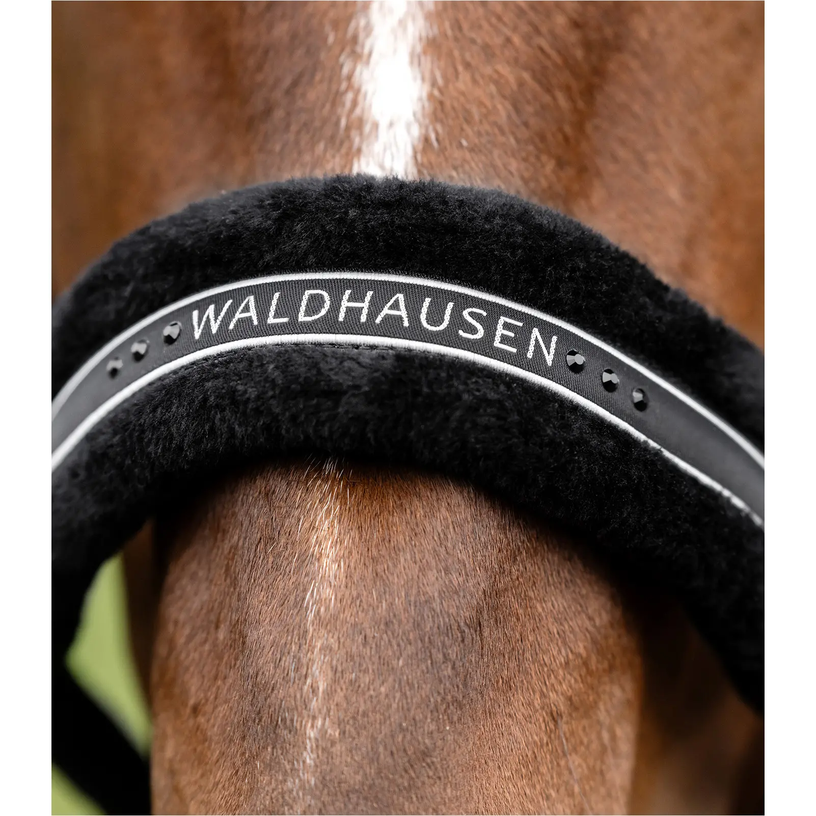 Halfter ELEGANT schwarz/schwarz