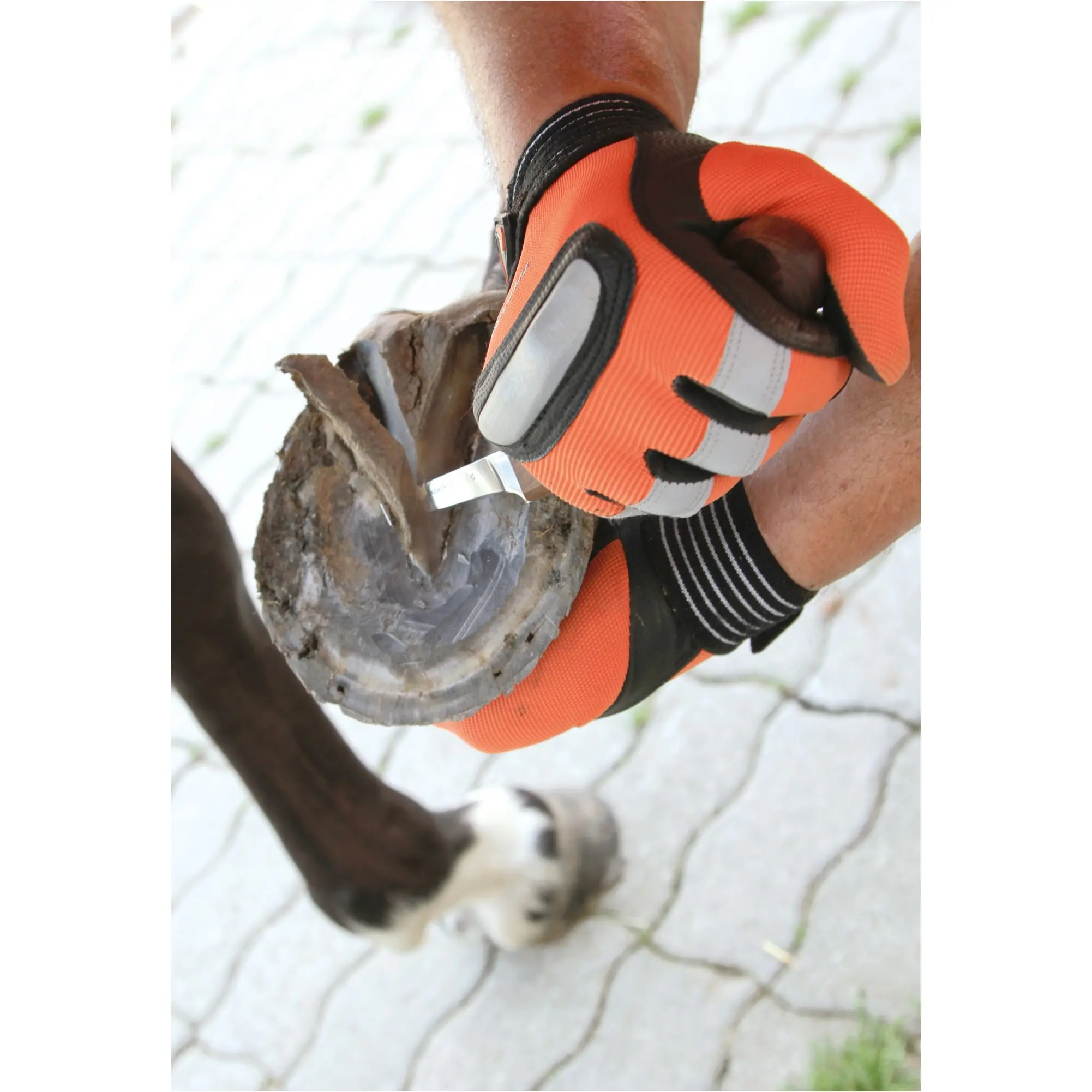 Huf- und Klauenmesser SuperProfi rechts schmal Huf- und Klauenmesser SuperProfi rechts schmal