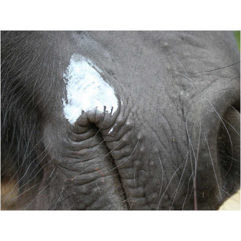 Insektenschutzbalsam natürlich NATJELY 300ml