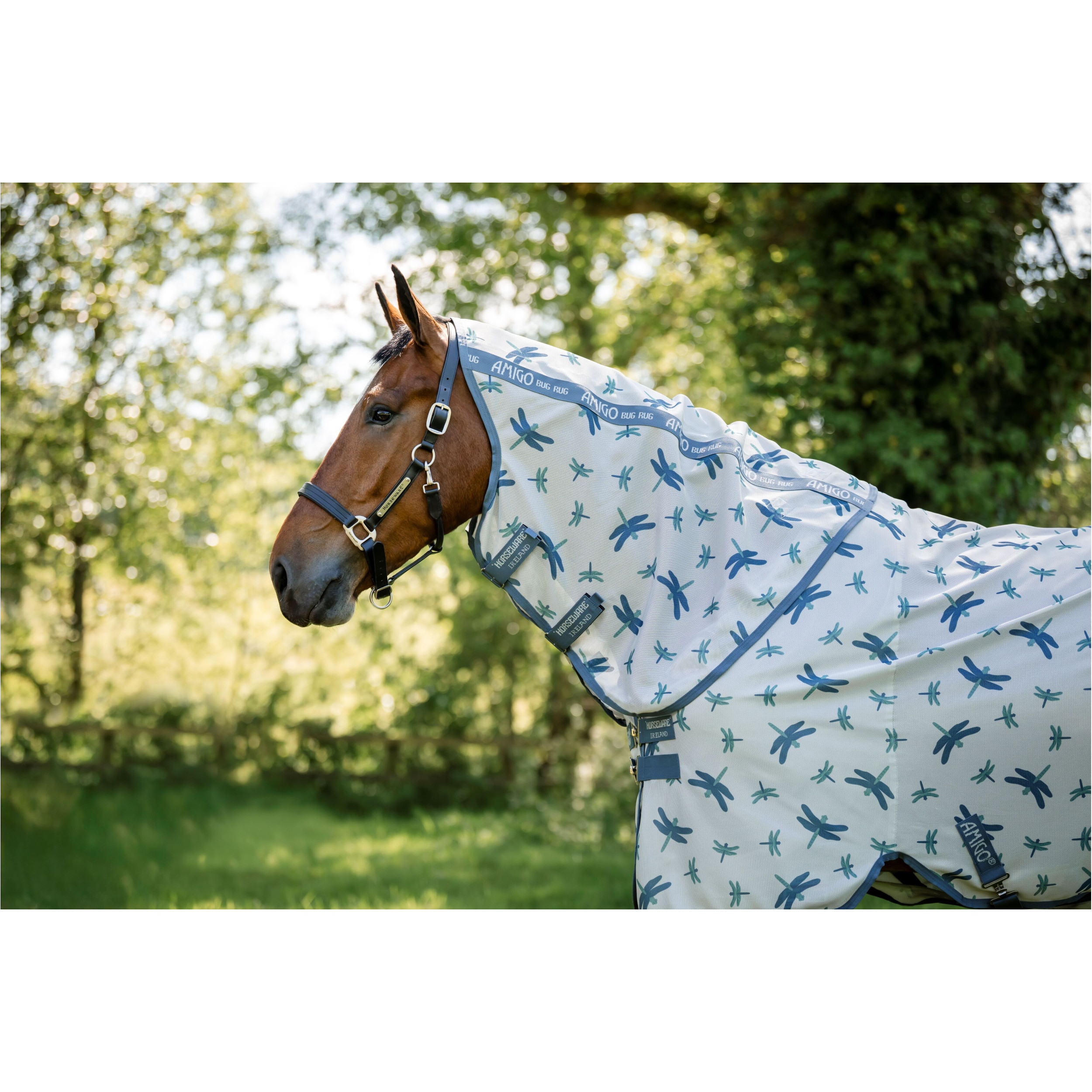 Halsteil AMIGO Bug Rug Hood dragonfly print/silver/blue/sage