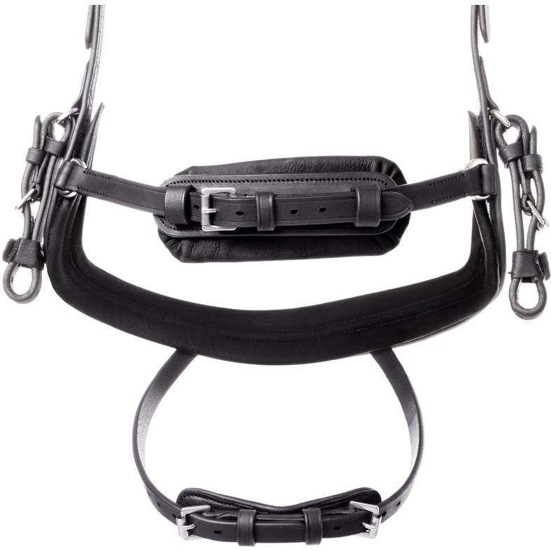 Trensenzaum englisch kombiniert CALIANO Leder geölt schwarz/silber