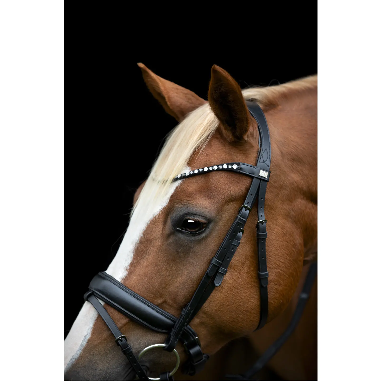 Trensenzaum schwedisch kombiniert CRYLL 25.2 schwarz Trensenzaum schwedisch kombiniert CRYLL 25.2 schwarz