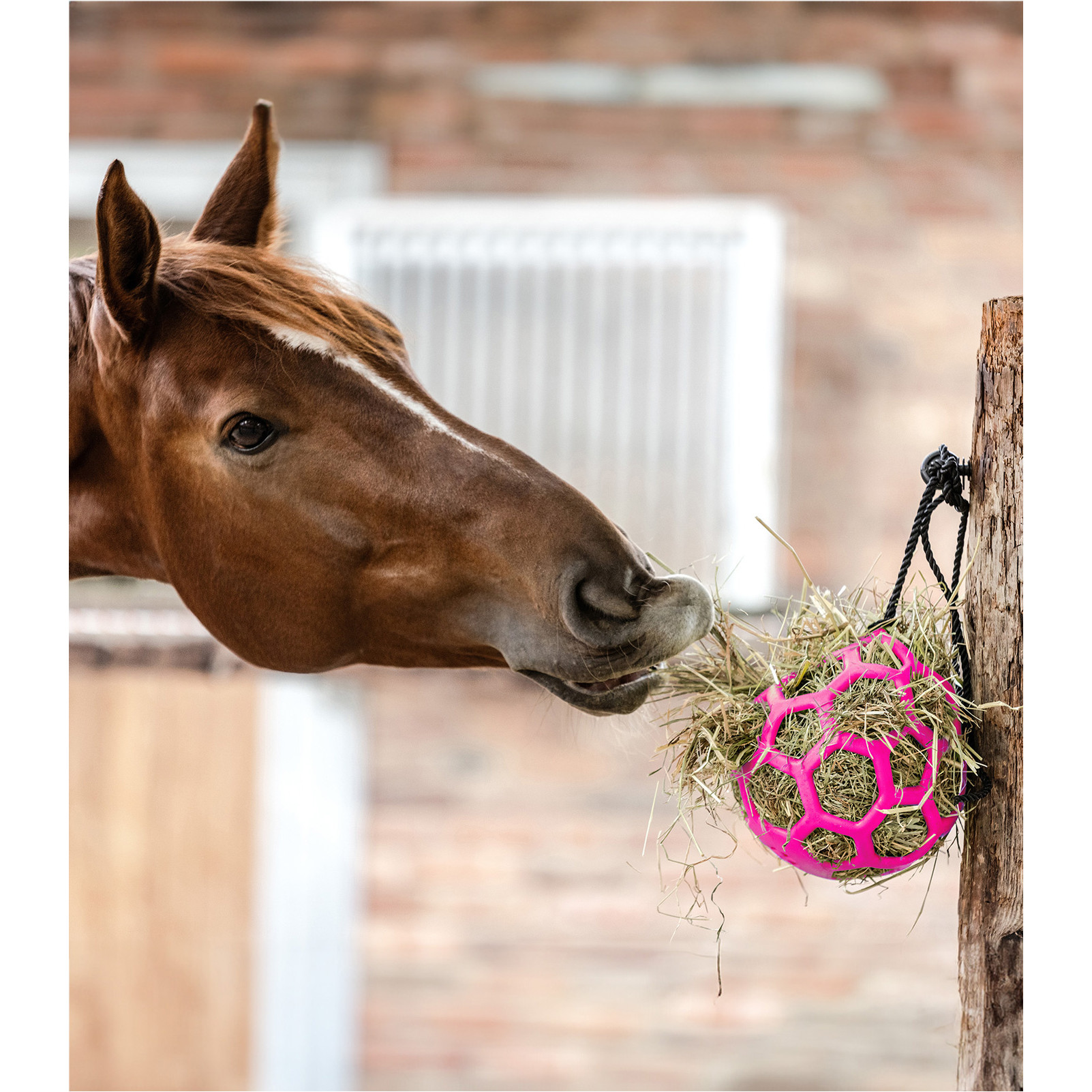 Heuball pink 22cm