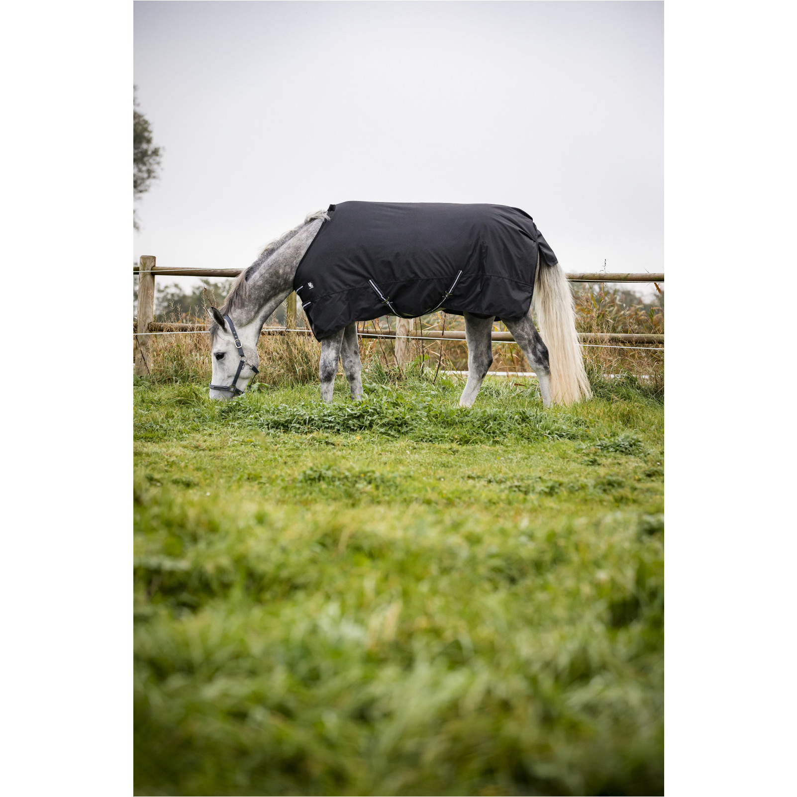 Winter Weidedecke 200g Füllung 600D schwarz Winter Weidedecke 200g Füllung 600D schwarz
