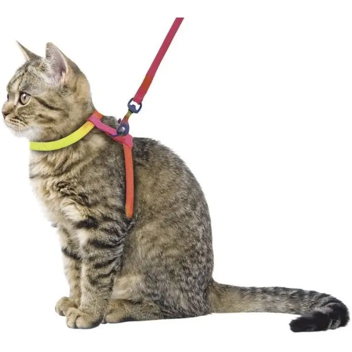Katzengeschirr RAINBOW 120cm