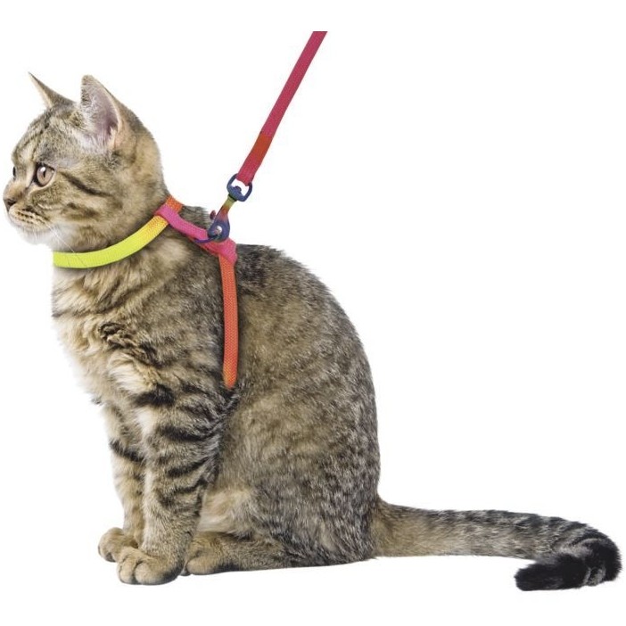 Katzengeschirr RAINBOW 120cm