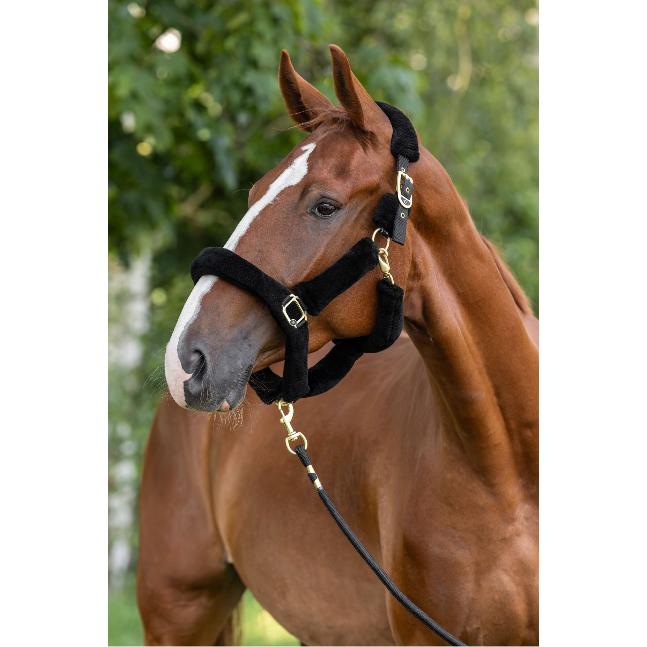 Halfter SuperSoft 2.0 black Halfter SuperSoft 2.0 black