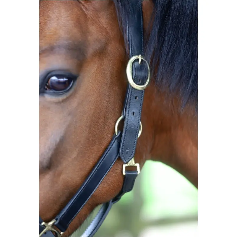 Halfter ROBUST Leder schwarz