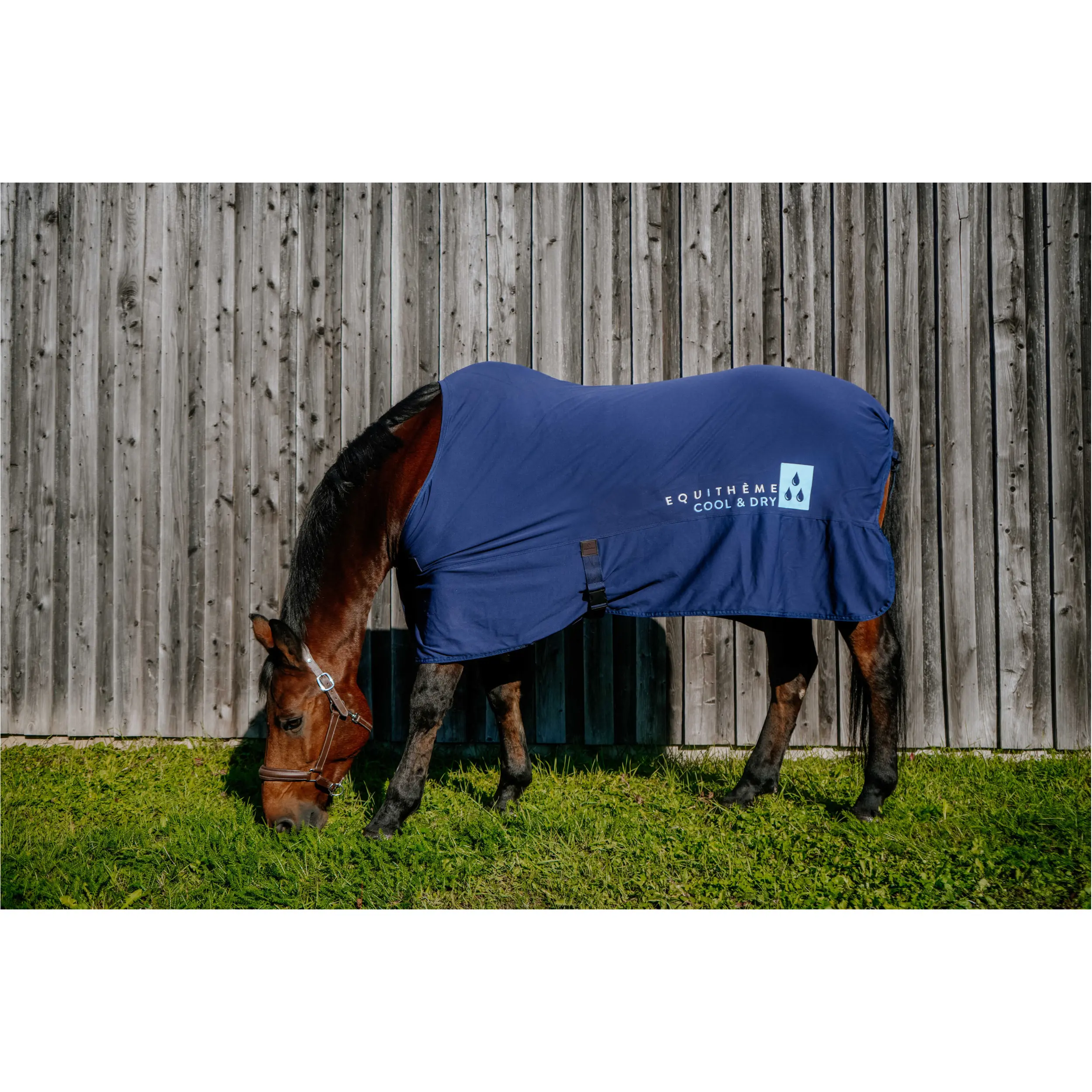 Kühldecke COOL&DRY FRESH navy