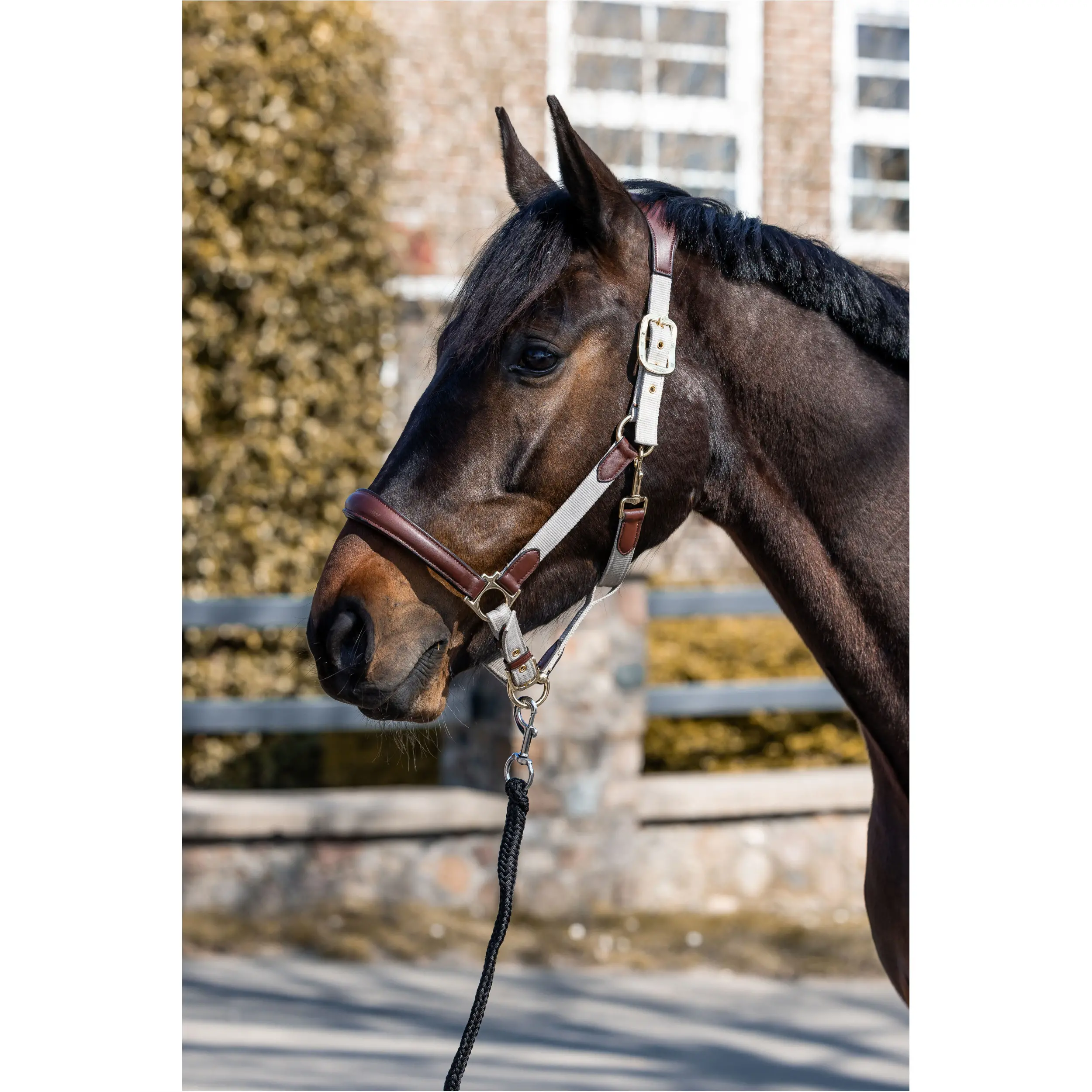 Halfter LUNA beige/braun Halfter LUNA beige/braun