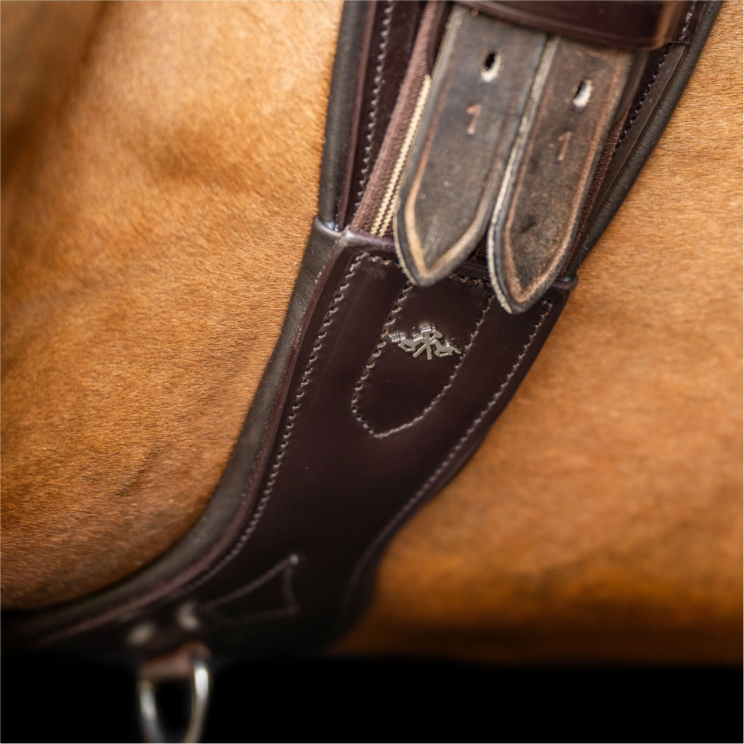 Dressurgurt HVPLegacy Echtleder chocolate brown Dressurgurt HVPLegacy Echtleder chocolate brown