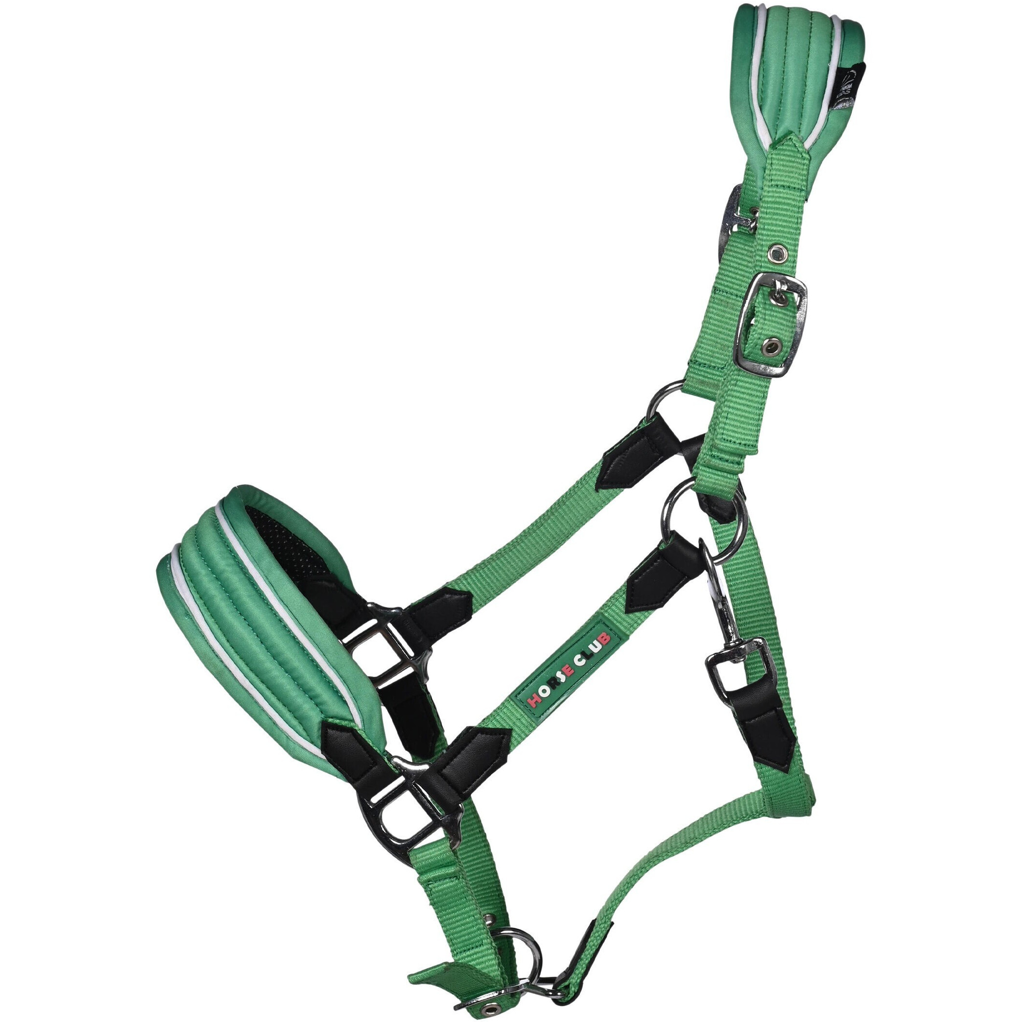 Halfter für Shettys MAUI grün