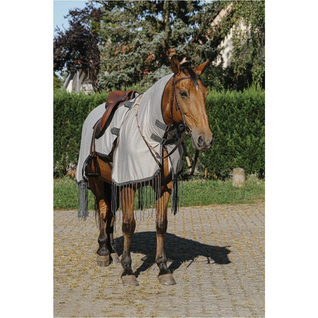Fliegenschutz-Ausreitdecke 2in1 grau