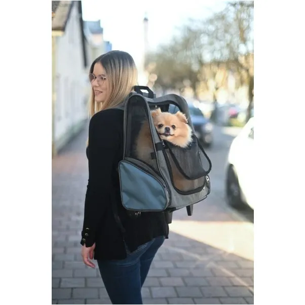 Trolley VACATION grau/blau