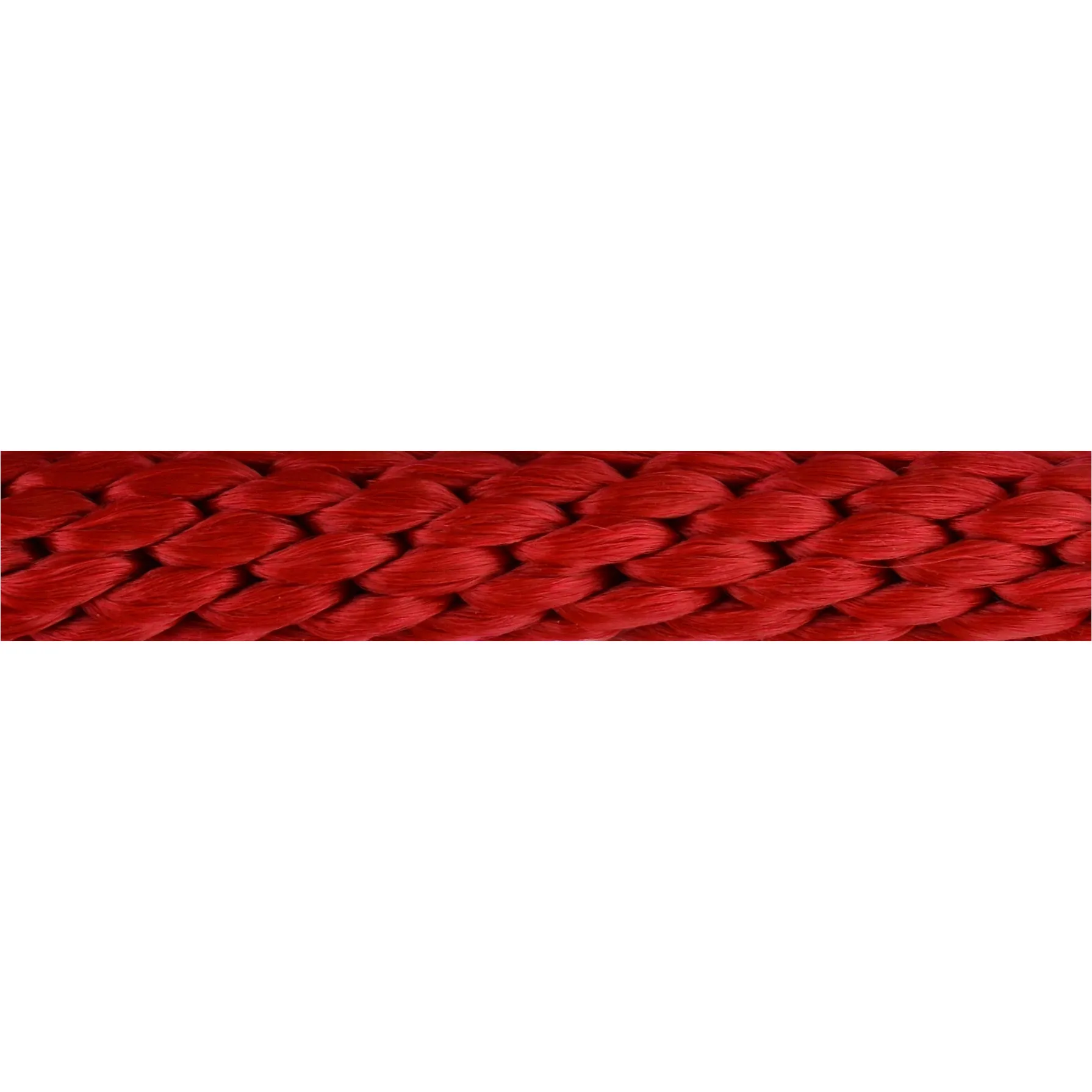 rot