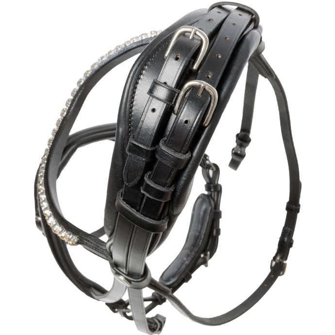 Trensenzaum mit schwedischen Reithalfter FORTUNA schwarz