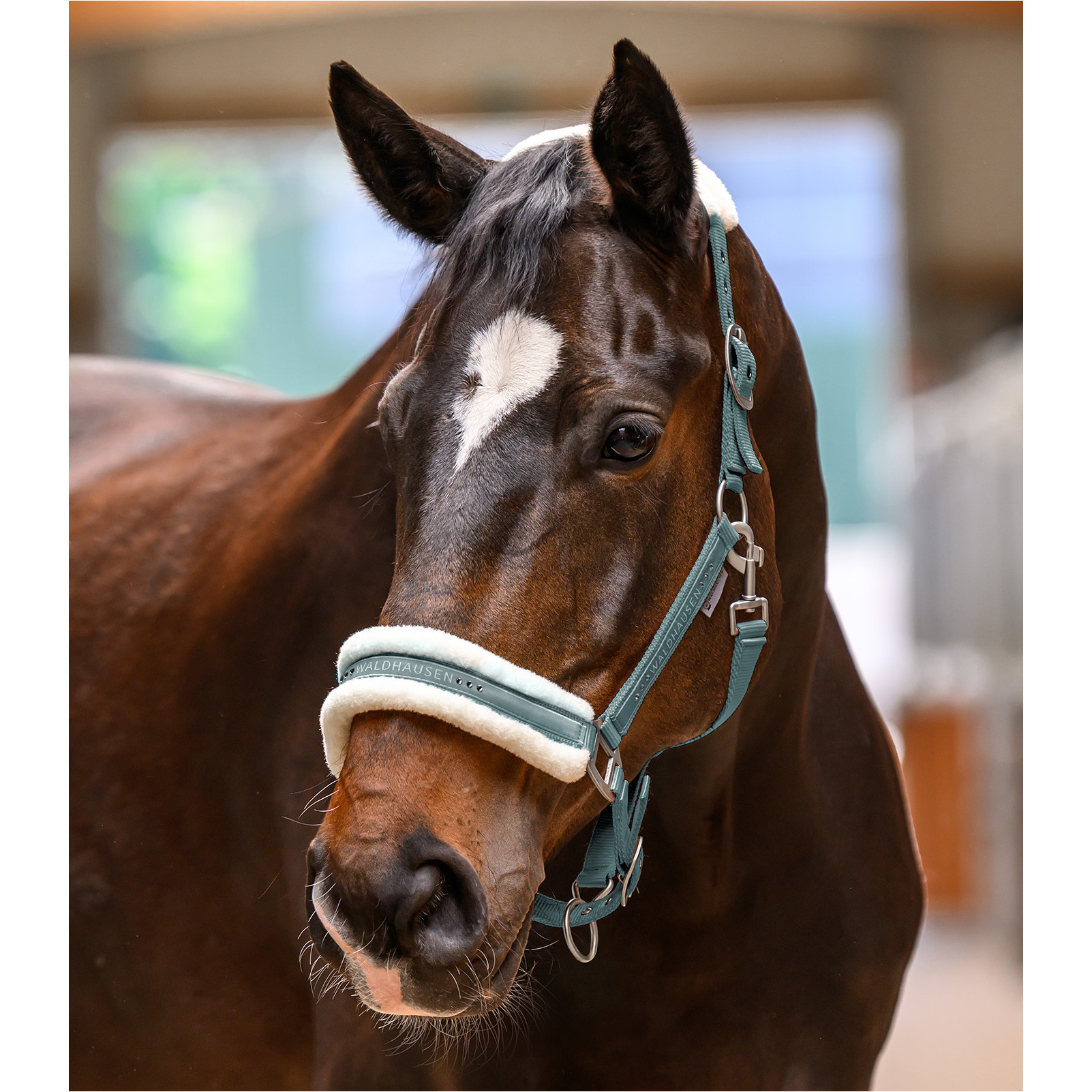 Halfter ELEGANT piniengrün