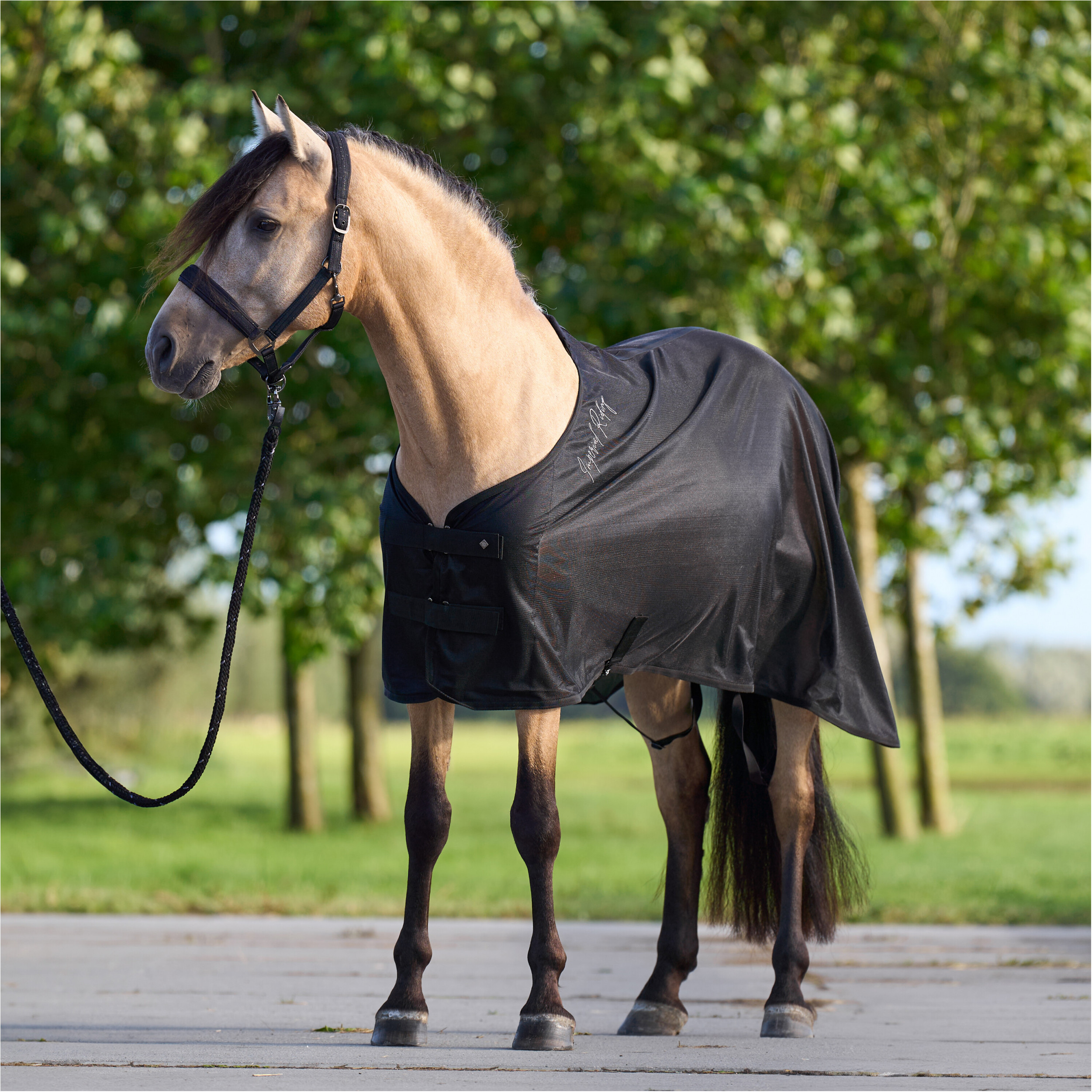 Transportdecke IRHMesh schwarz