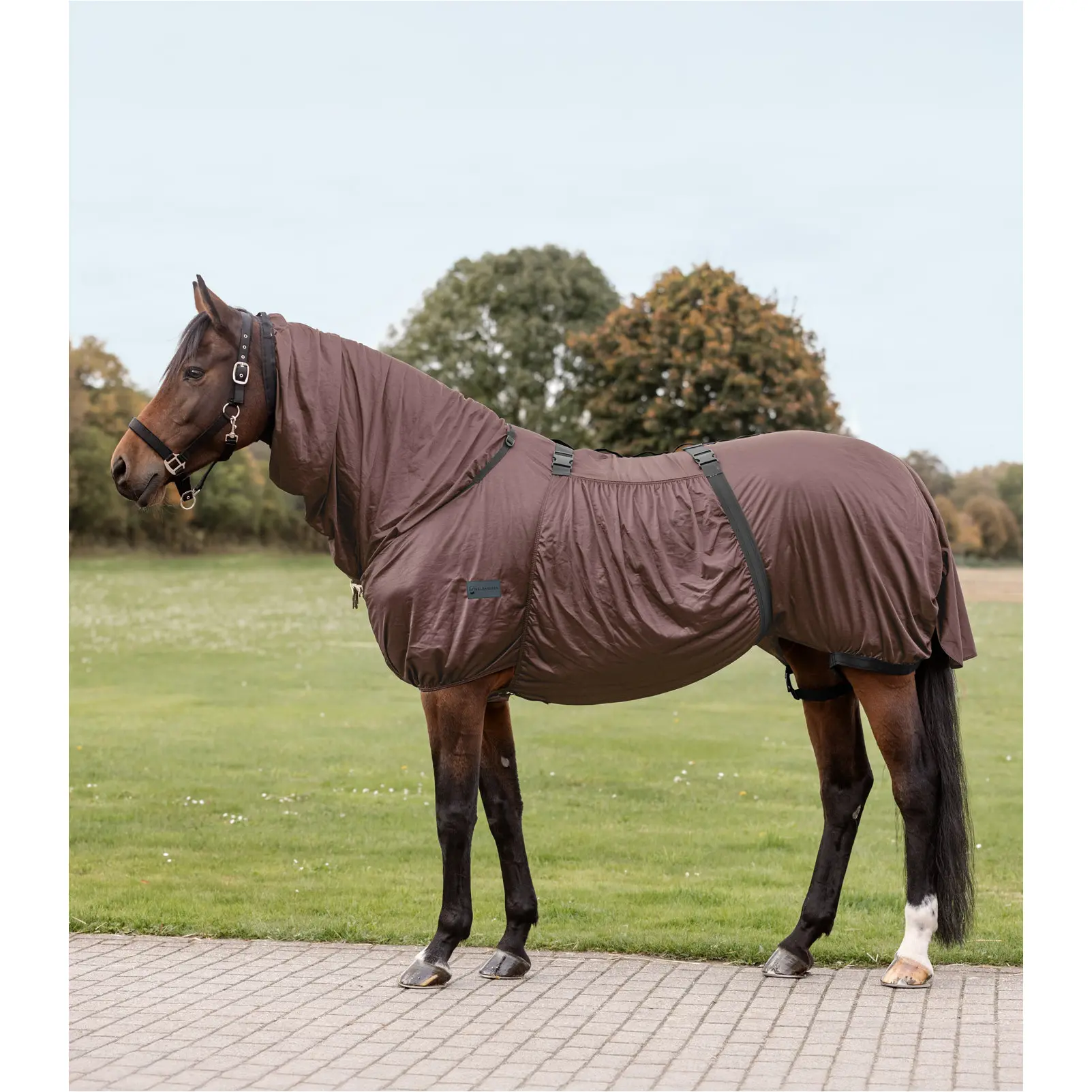 Ekzemerdecke BASIC mocca