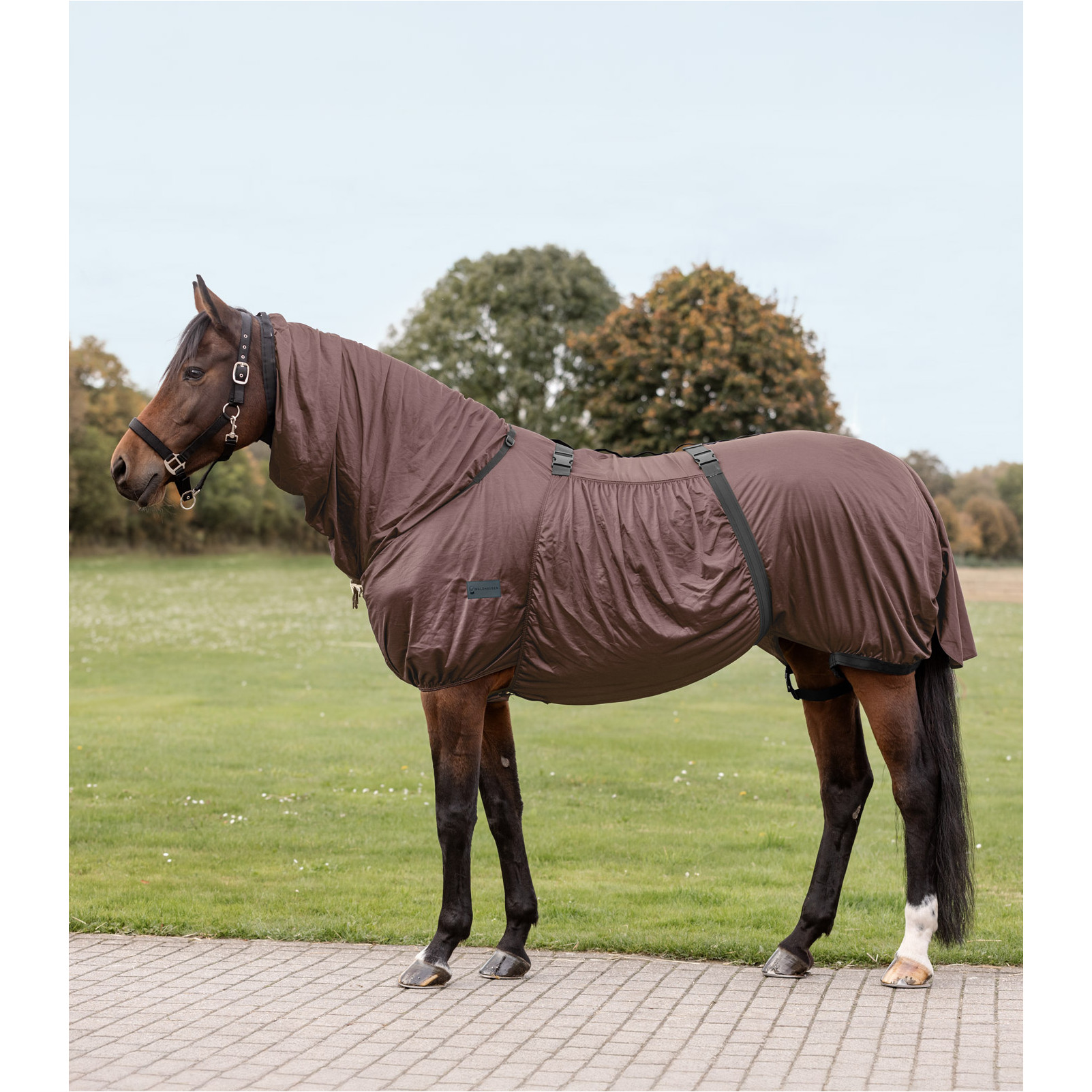 Ekzemerdecke BASIC mocca