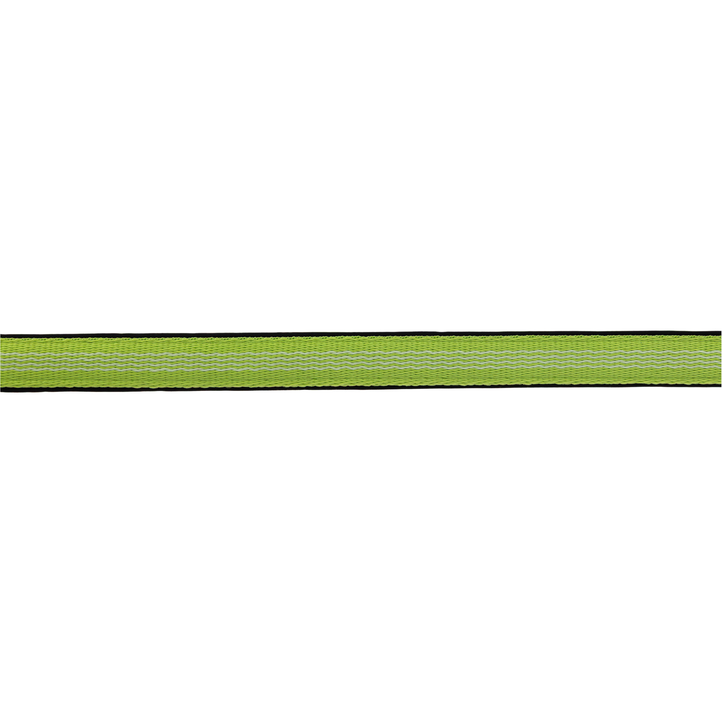 Halfter MUSTANG grün