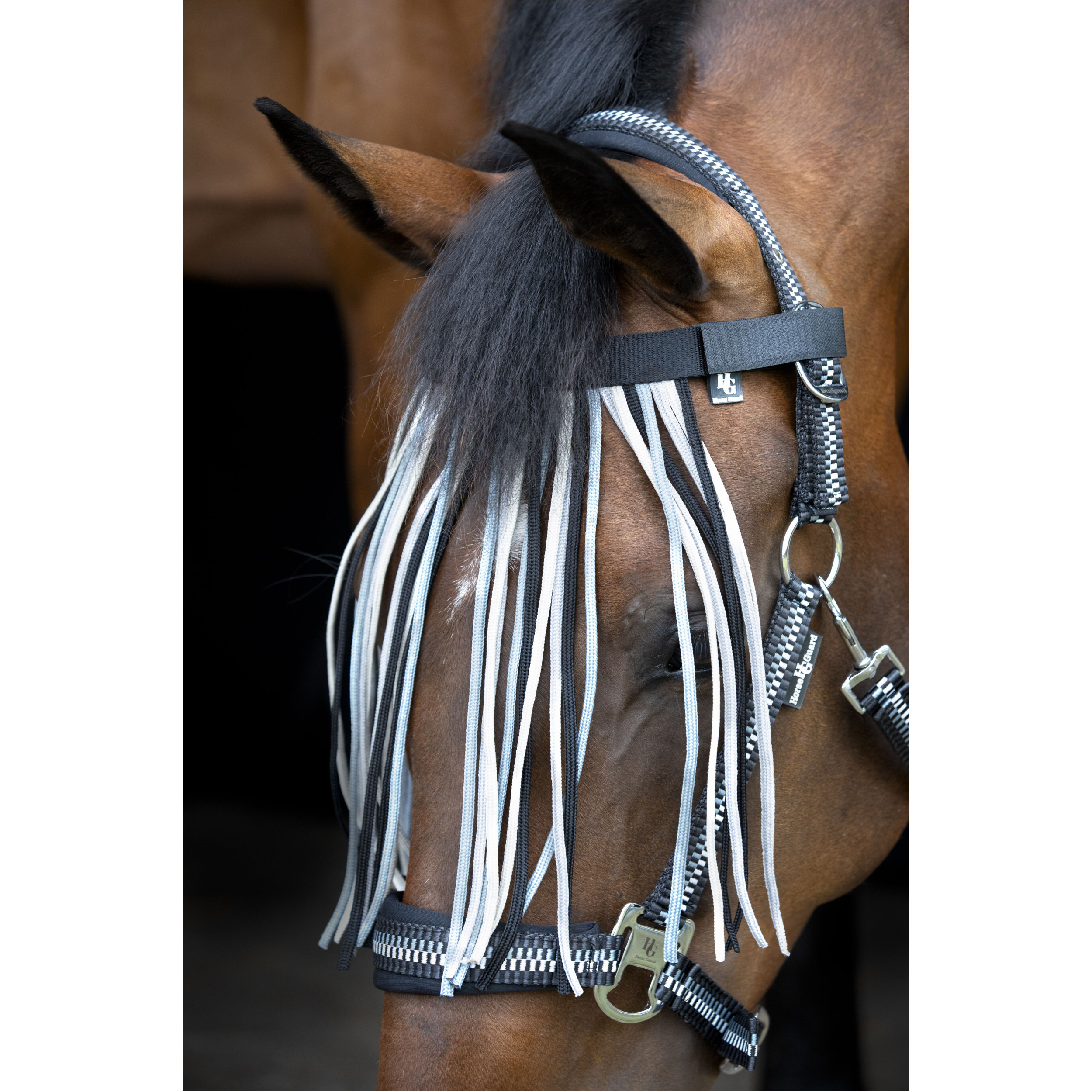 Fliegenfransen COLE asphalt