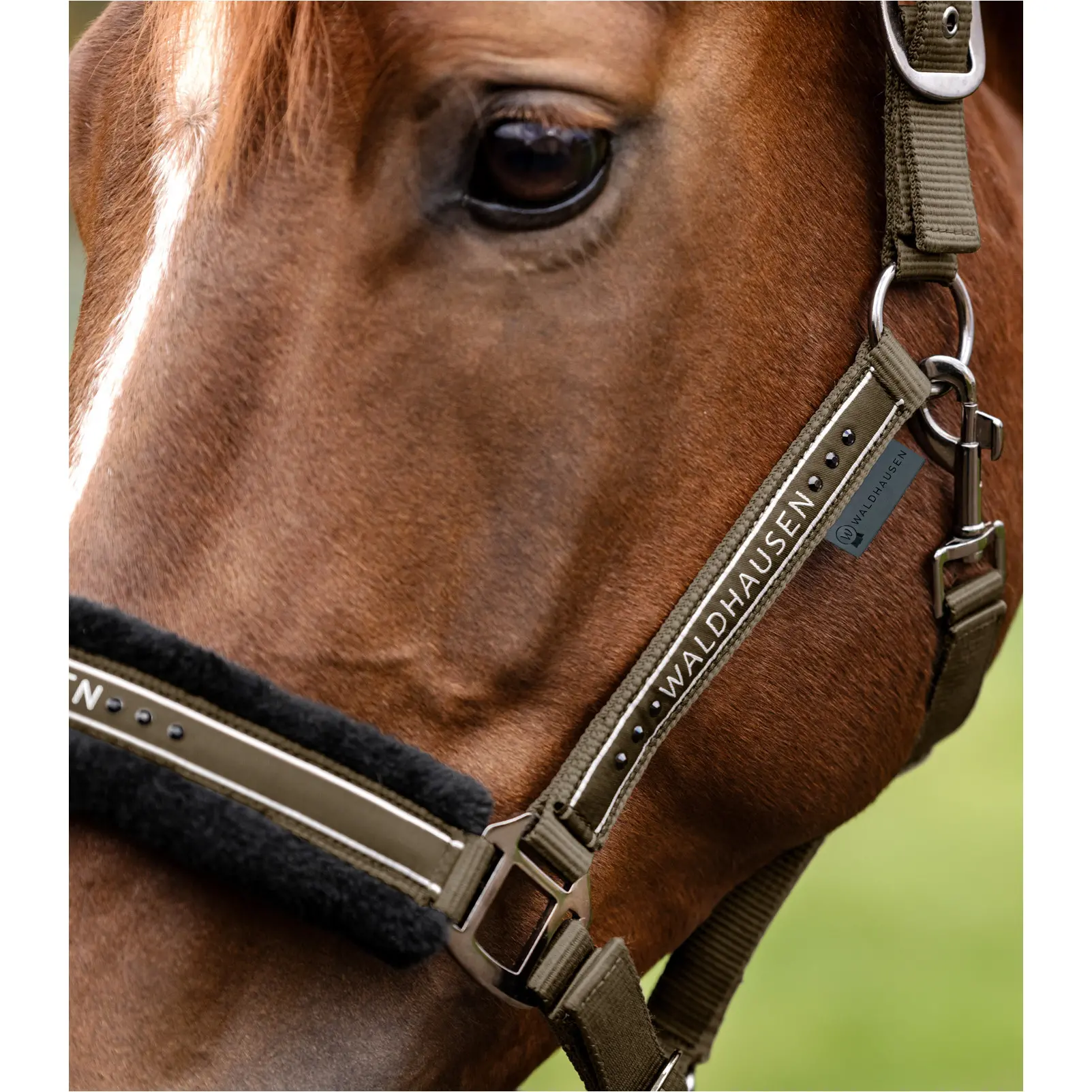 Halfter ELEGANT grünbraun