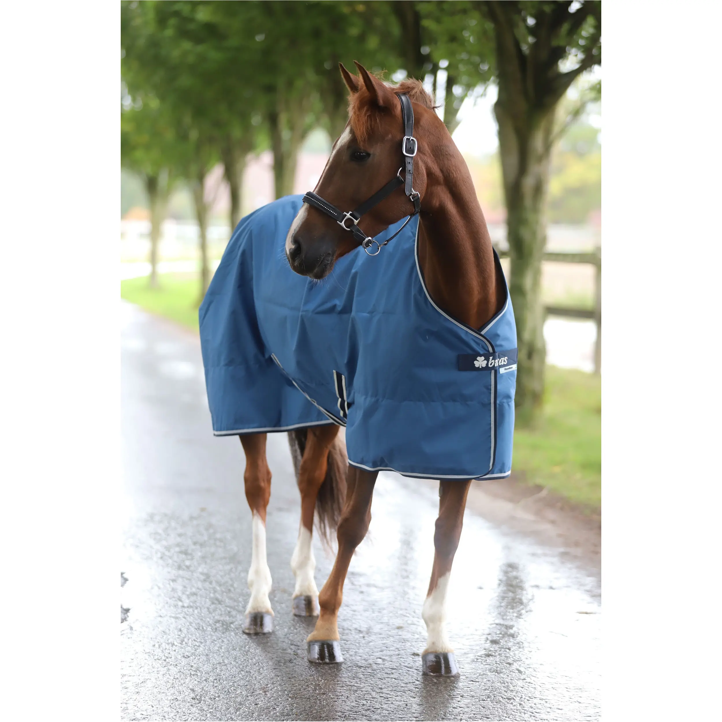 Weidedecke 50g Füllung 600D FREEDOM TURNOUT blau/navy Weidedecke 50g Füllung 600D FREEDOM TURNOUT blau/navy