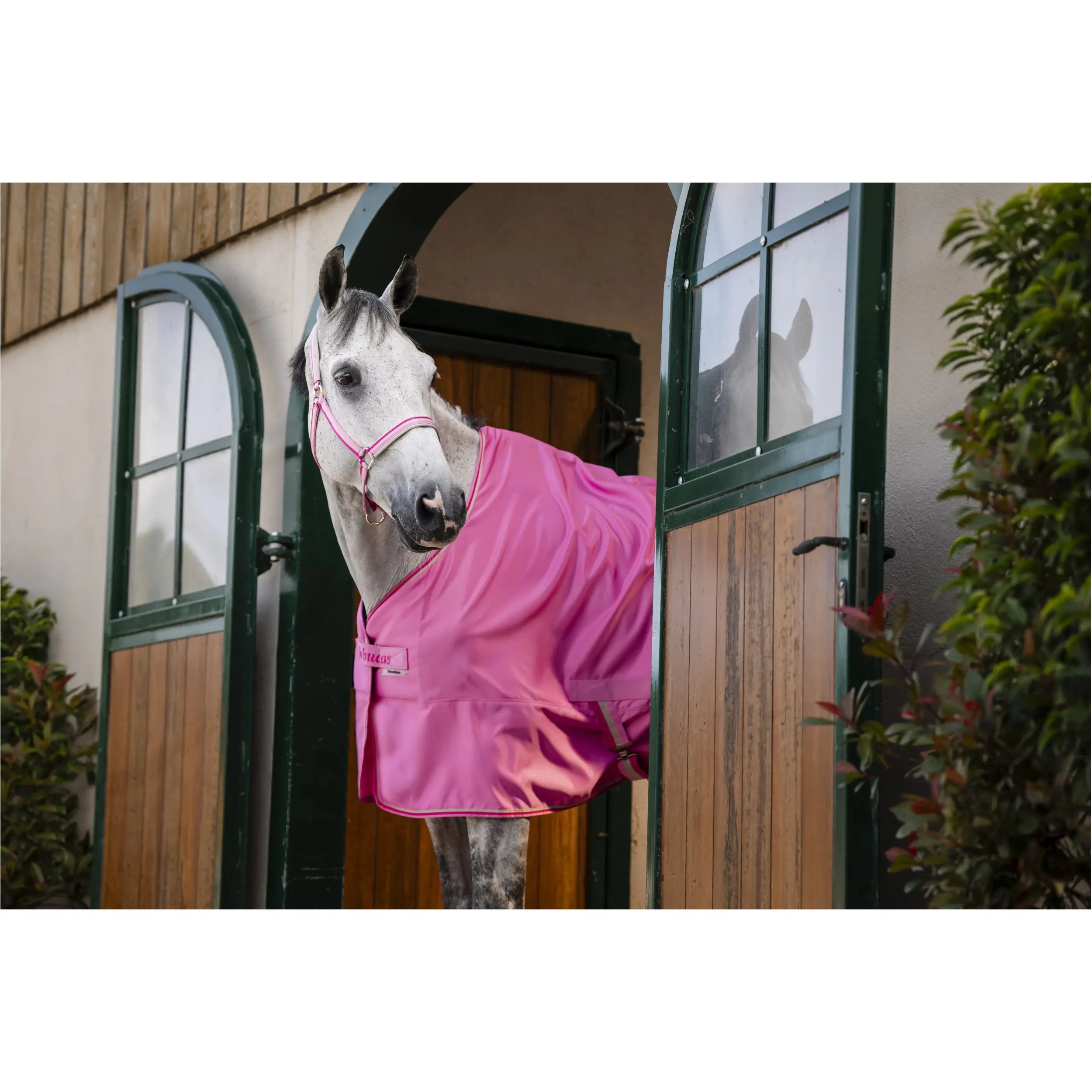 Stall-, Sommer- und Transportdecke FREEDOM TWILL SHEET aurora pink