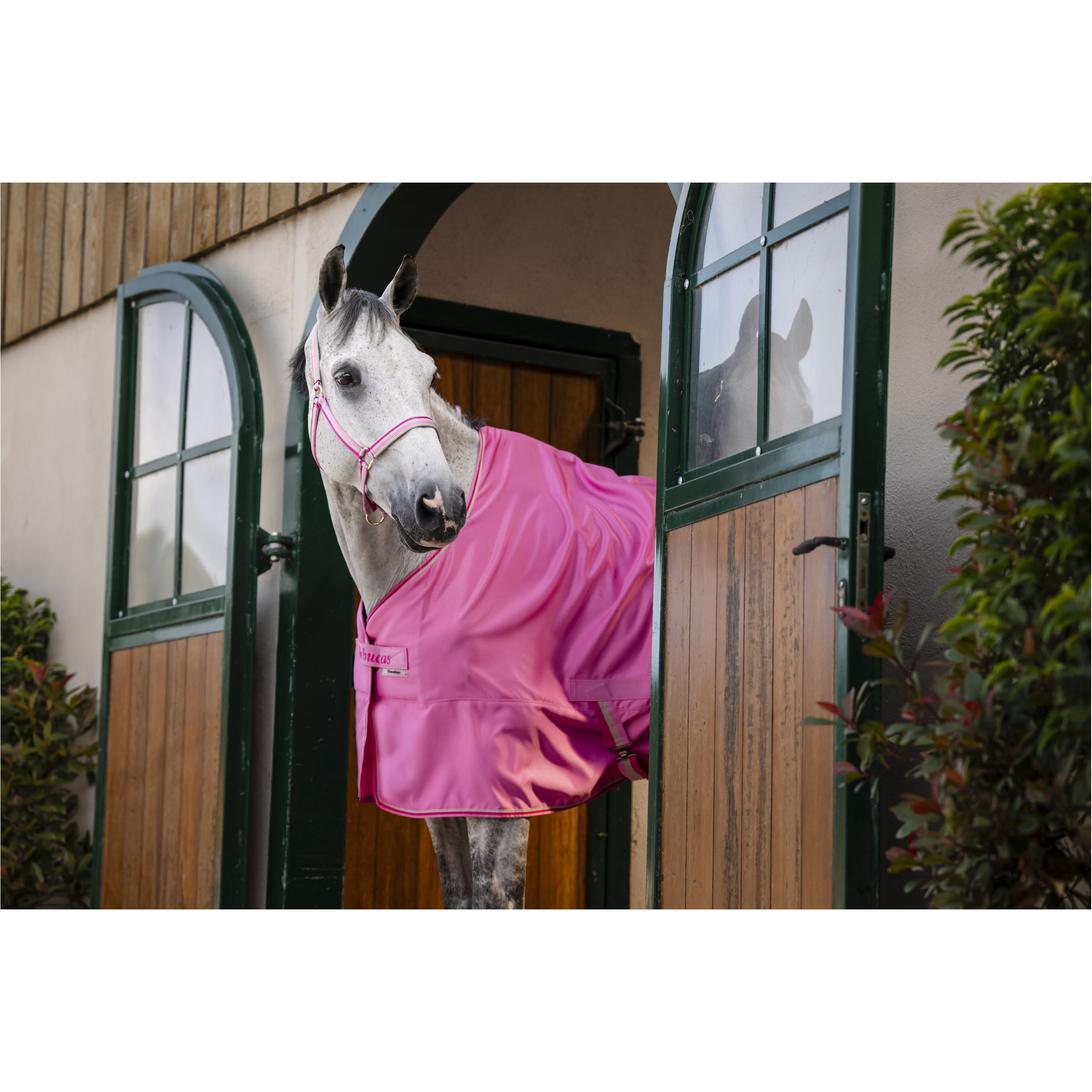 Stall-, Sommer- und Transportdecke FREEDOM TWILL SHEET aurora pink