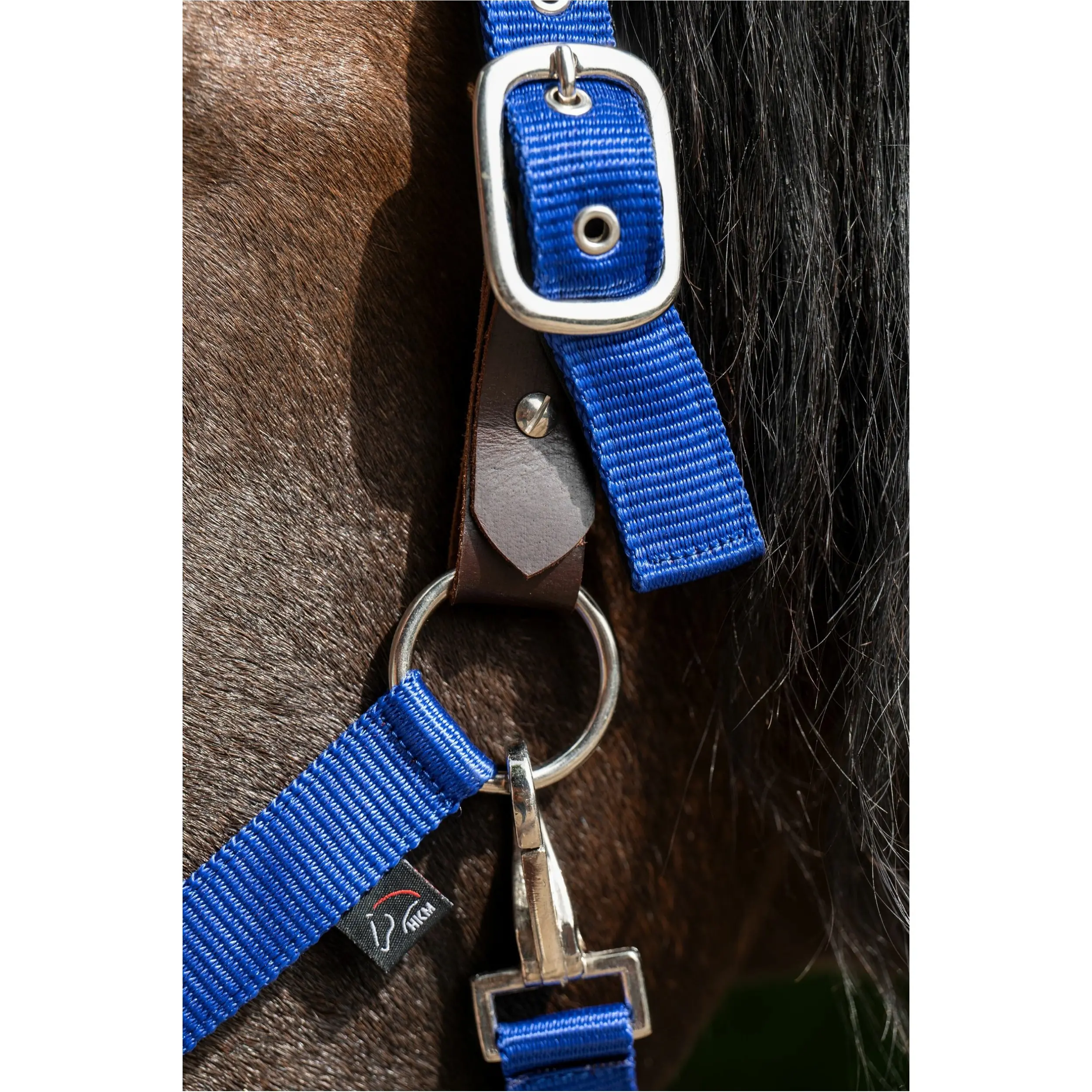 Halfter BREAKAWAY 2 royal blau