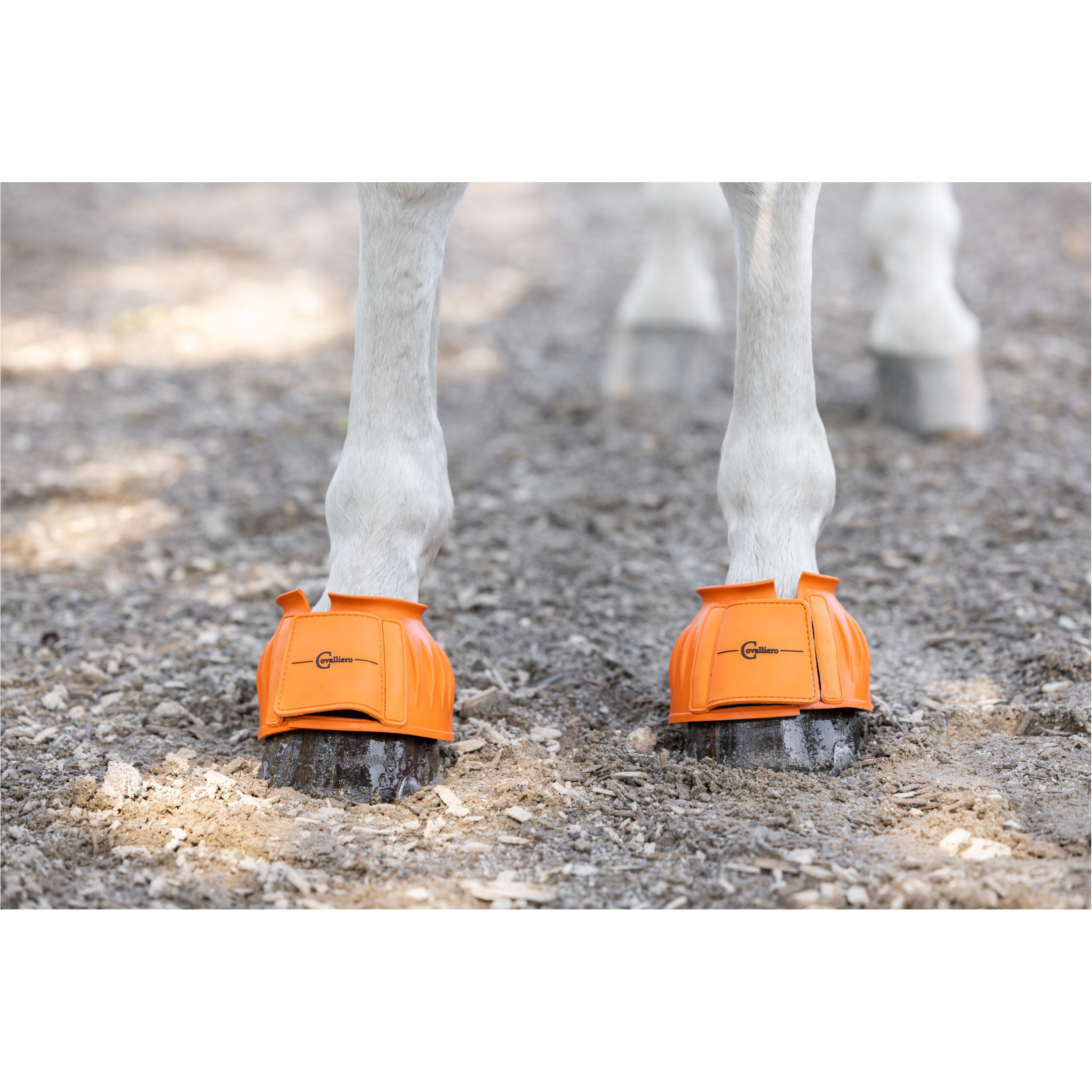 Hufglocken Gummi mit Klettverschluss orange