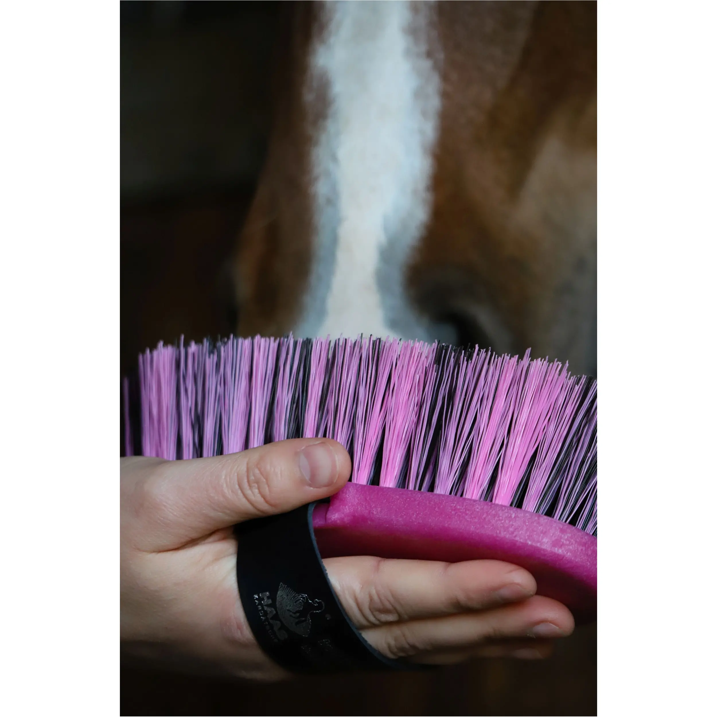 Kardätsche BRENIG MADOC fuchsia