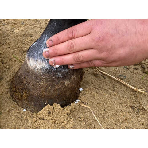 Insektenschutzbalsam natürlich NATJELY 300ml