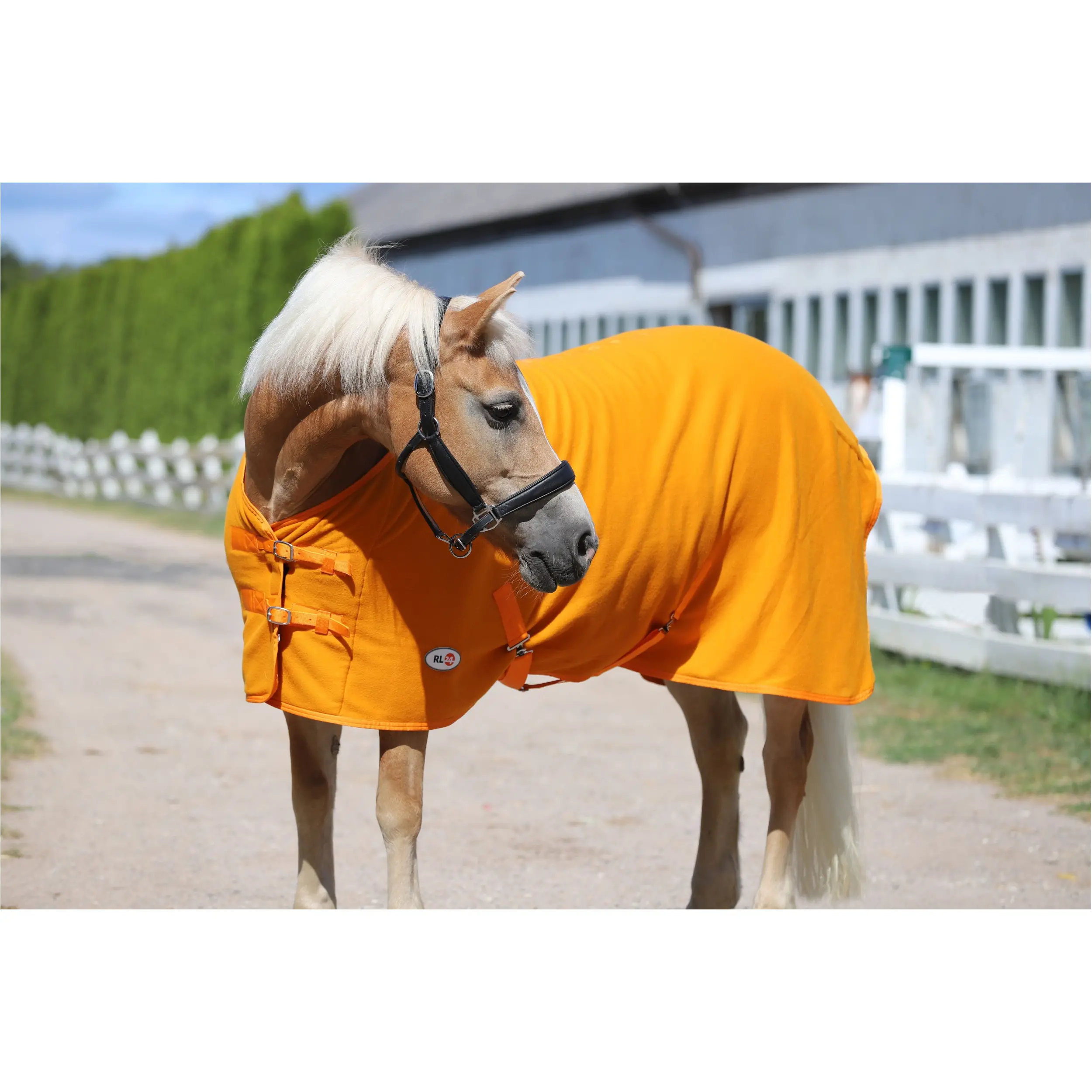 Abschwitzdecke mit Kreuzgurt BASICLINE rost Abschwitzdecke mit Kreuzgurt BASICLINE rost