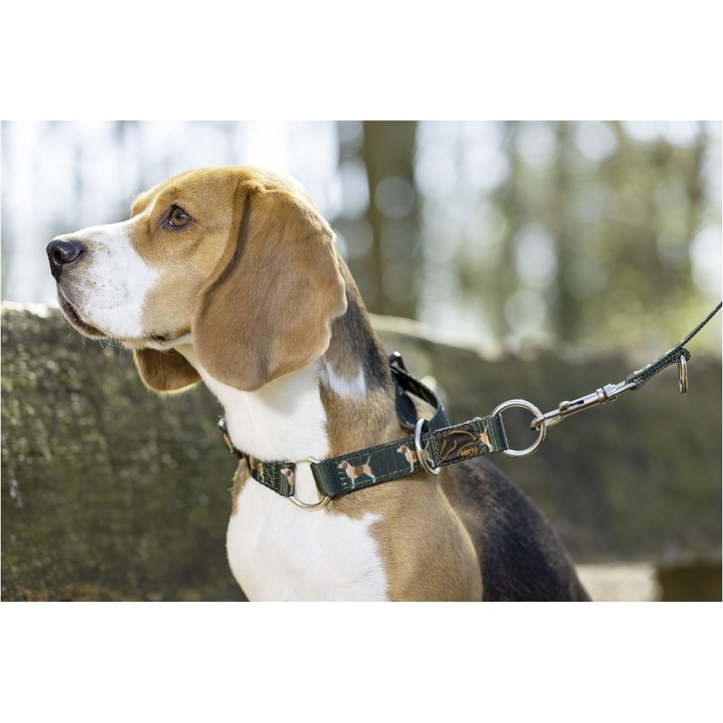 Hundehalsband BEAGLE dunkelgrün