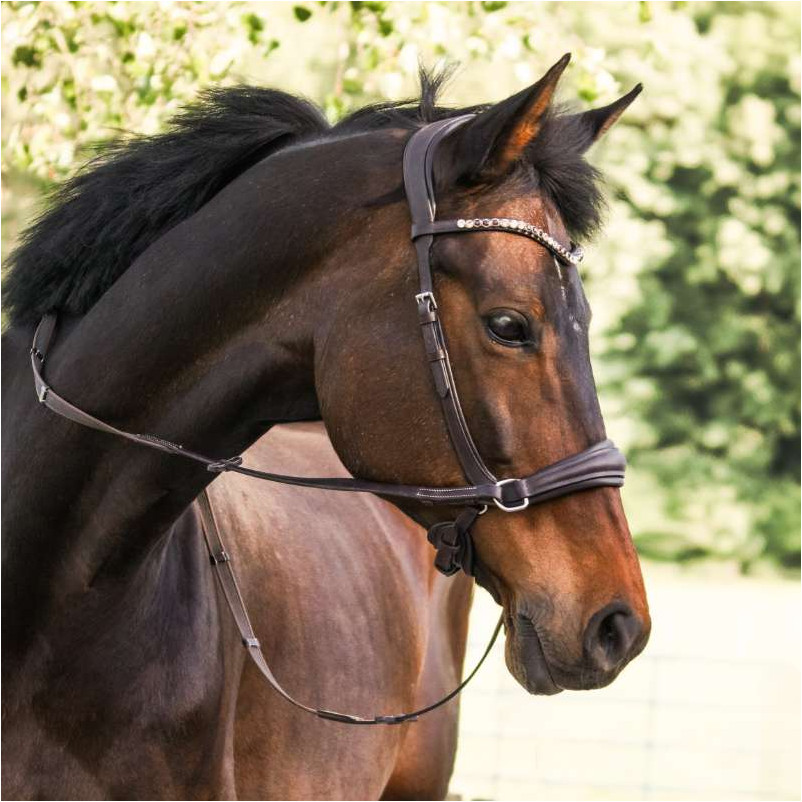 Trensenzaum Gebisslos LIGHT schwarz