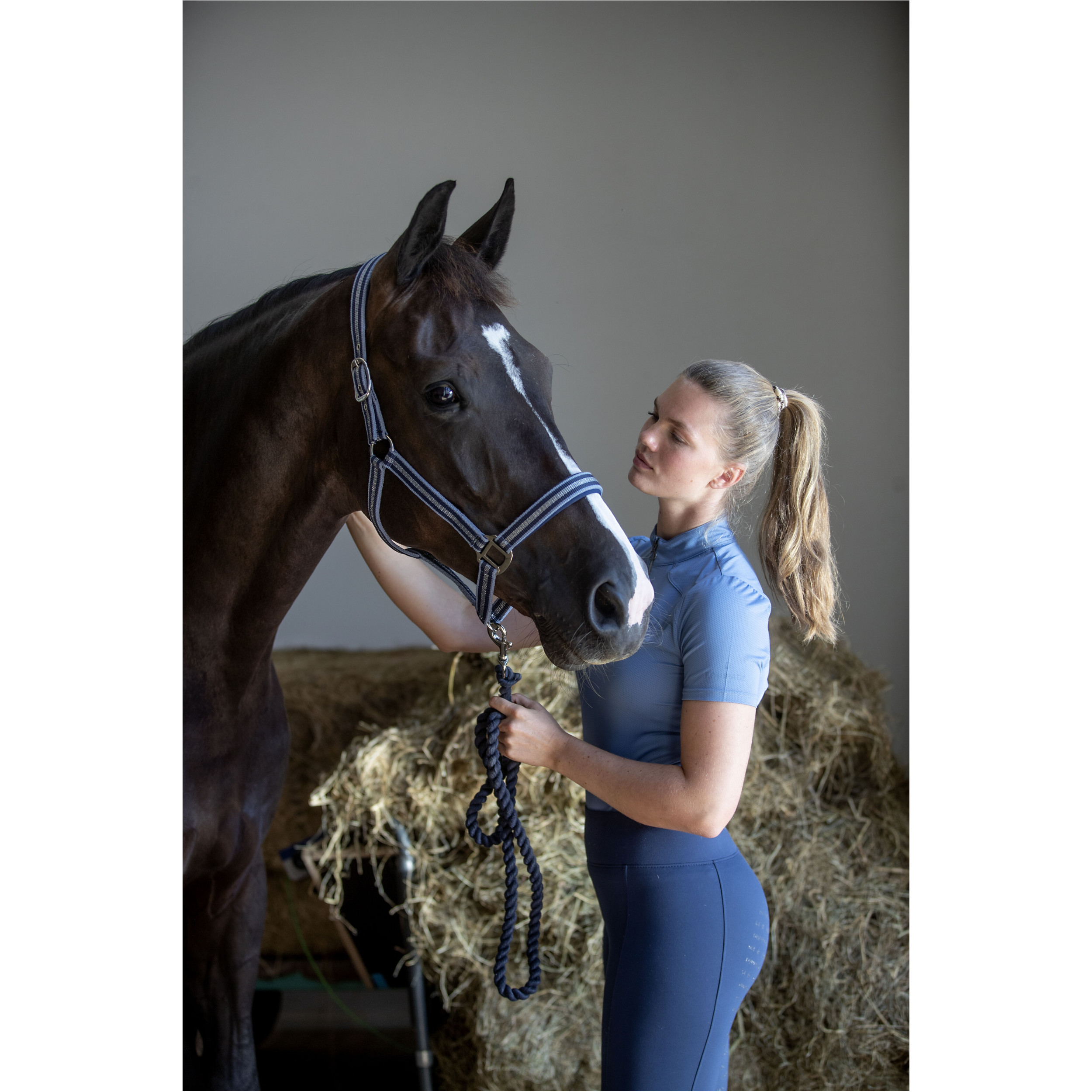 Damen Reitleggings Silikon Vollbesatz TAWNY navy Damen Reitleggings Silikon Vollbesatz TAWNY navy