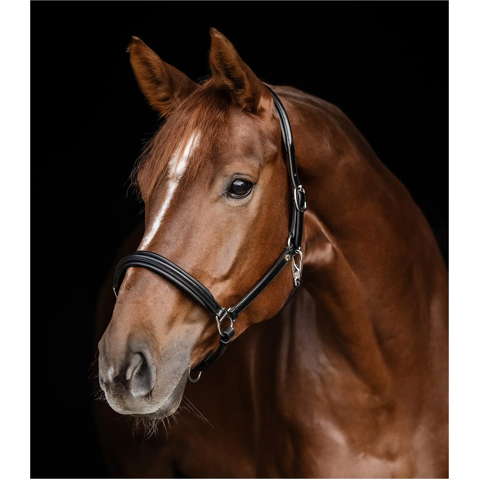 Lederhalfter S-Line CLASSY schwarz/silber