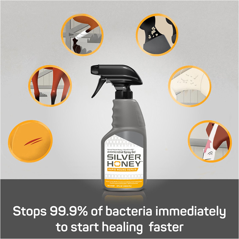 Silver Honey Spray 240ml 