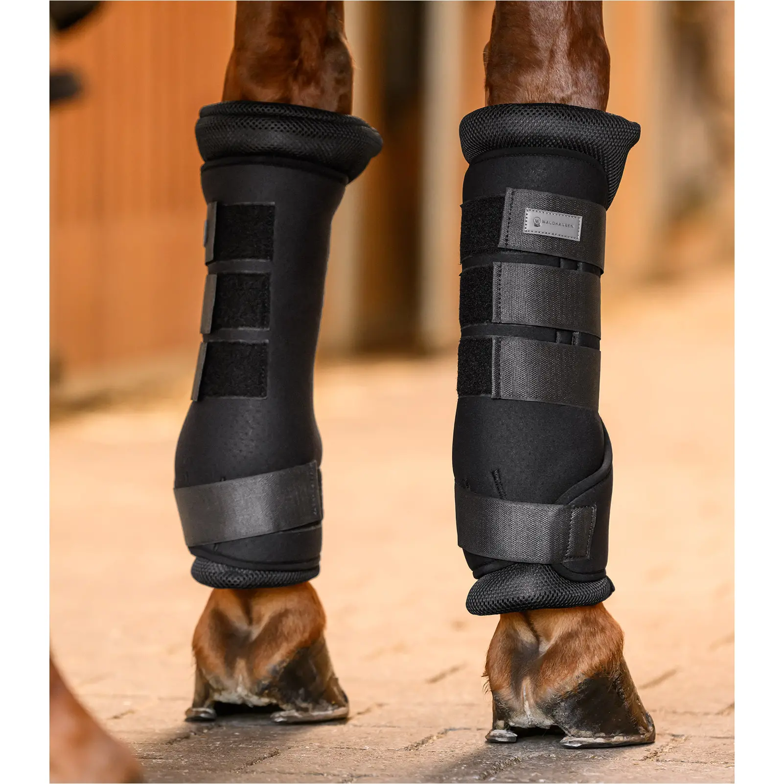 Stallgamaschen BREATH schwarz