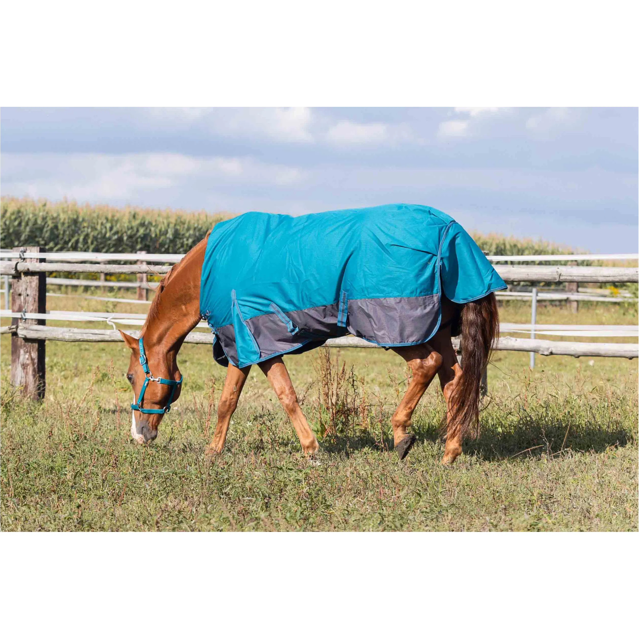 Winterdecke 300g Füllung 600D BASICLINE petrol/graphit - Posten