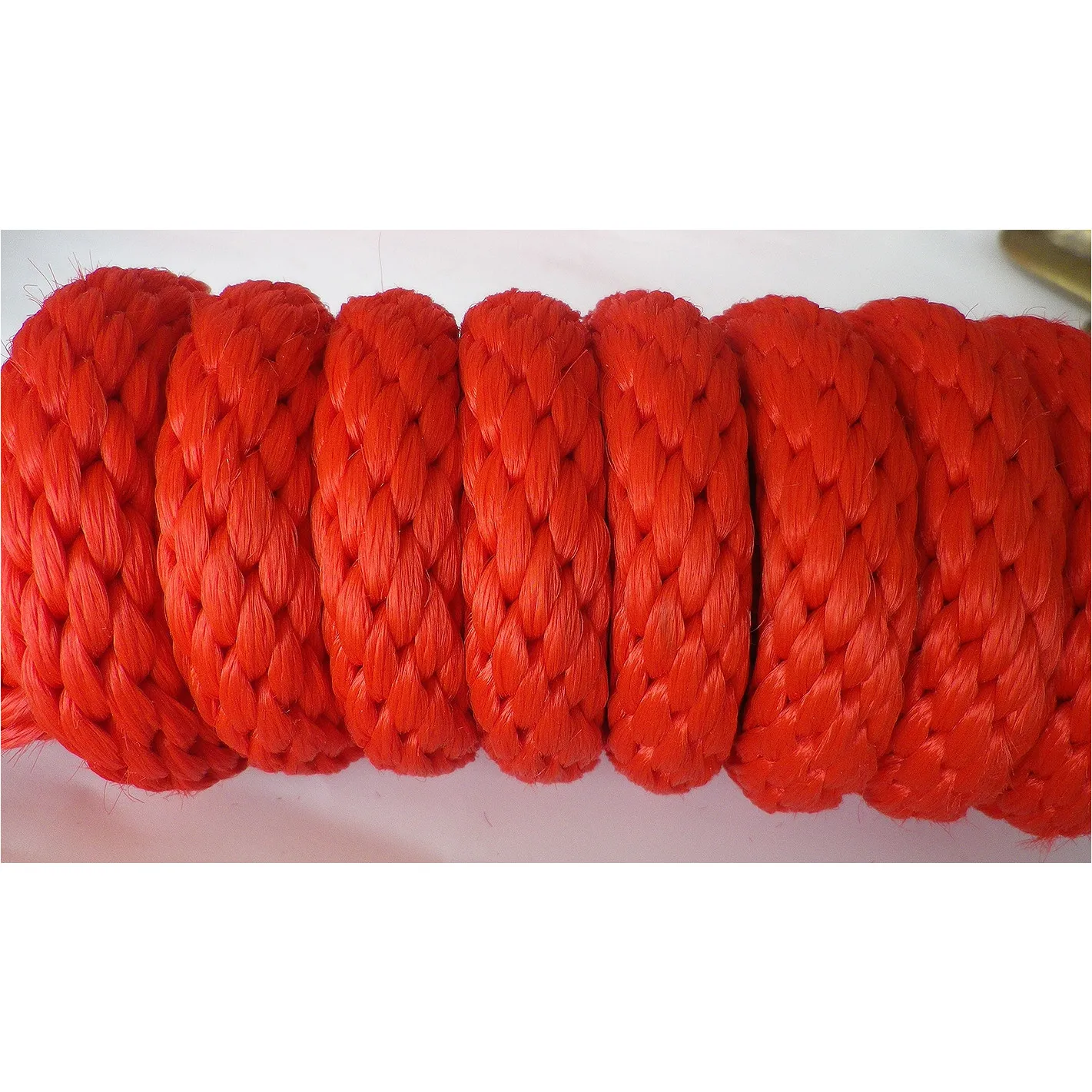 Führstrick mit Karabinerhaken rot 240cm