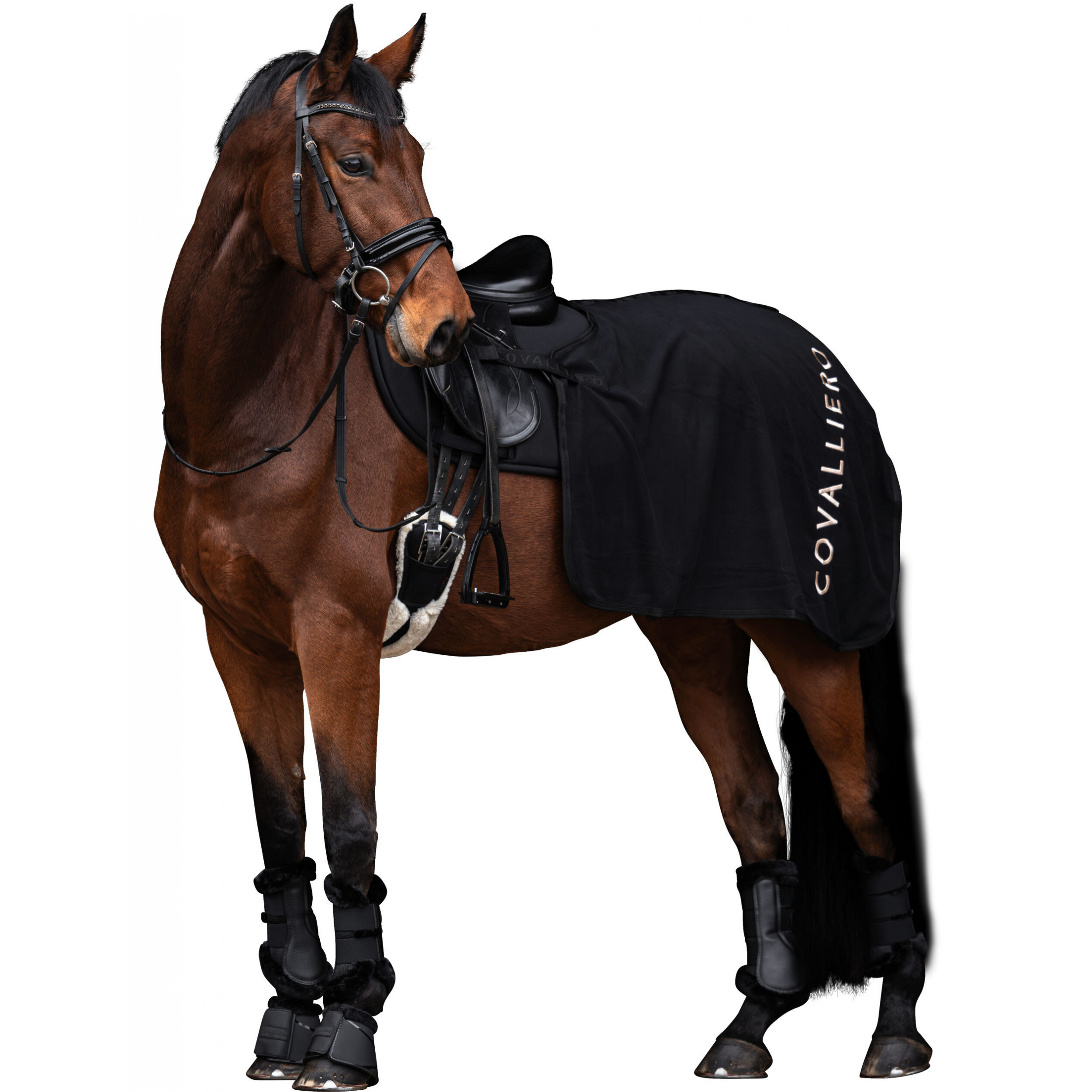 Ausreitdecke H/W 2025 schwarz